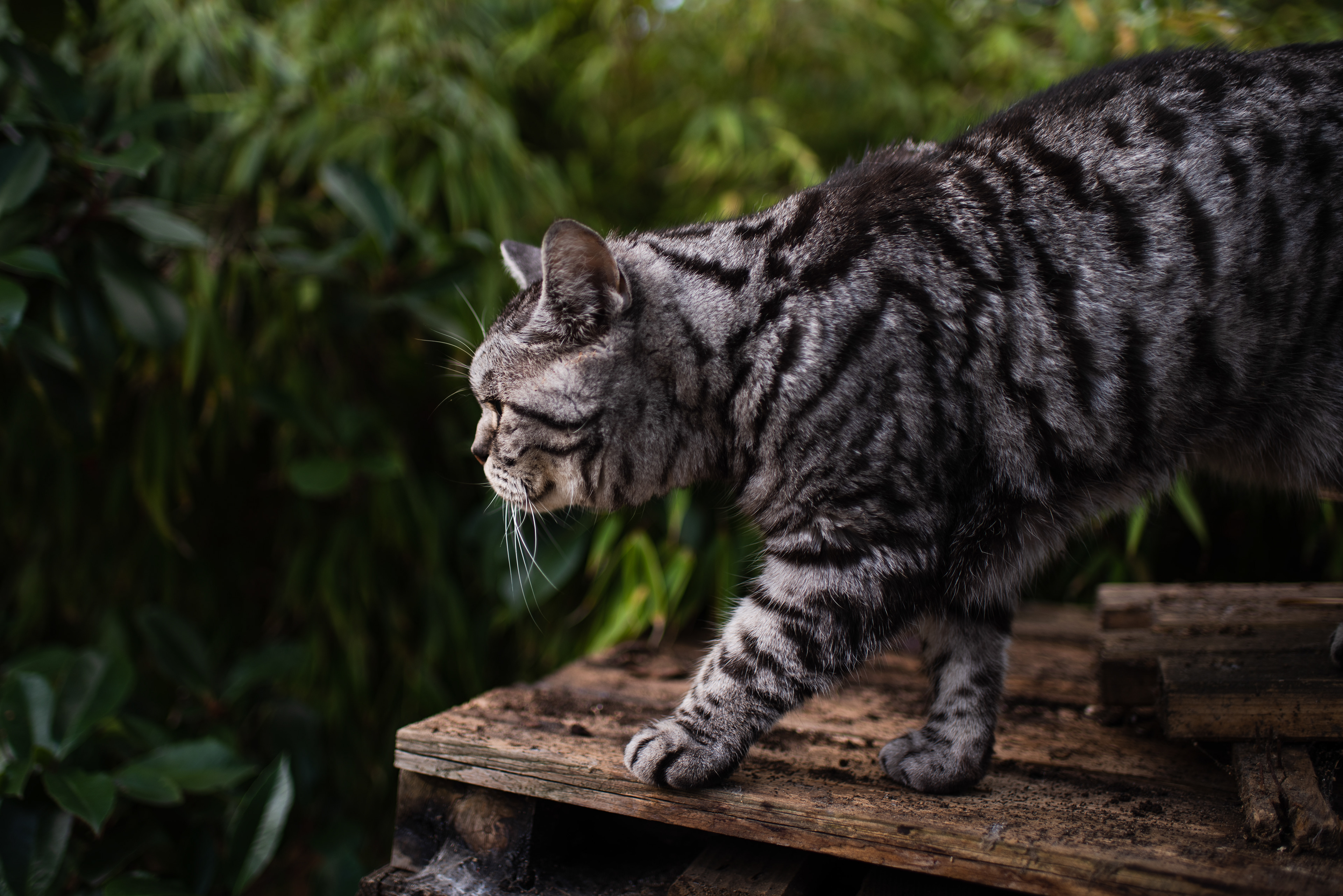 Amsterdam, Netherlands - Sep 2020