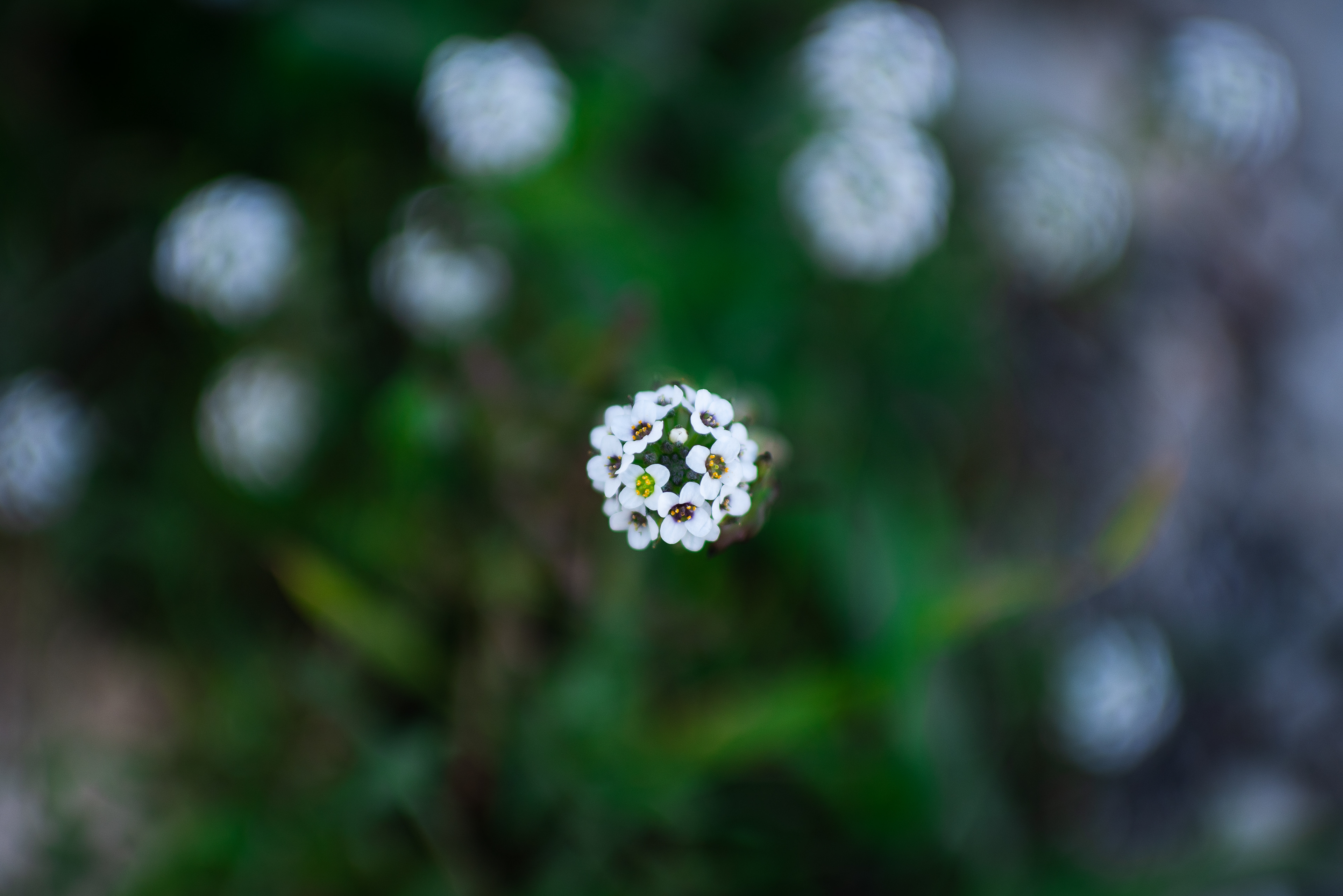 Alicante, Spain - Jan 2022