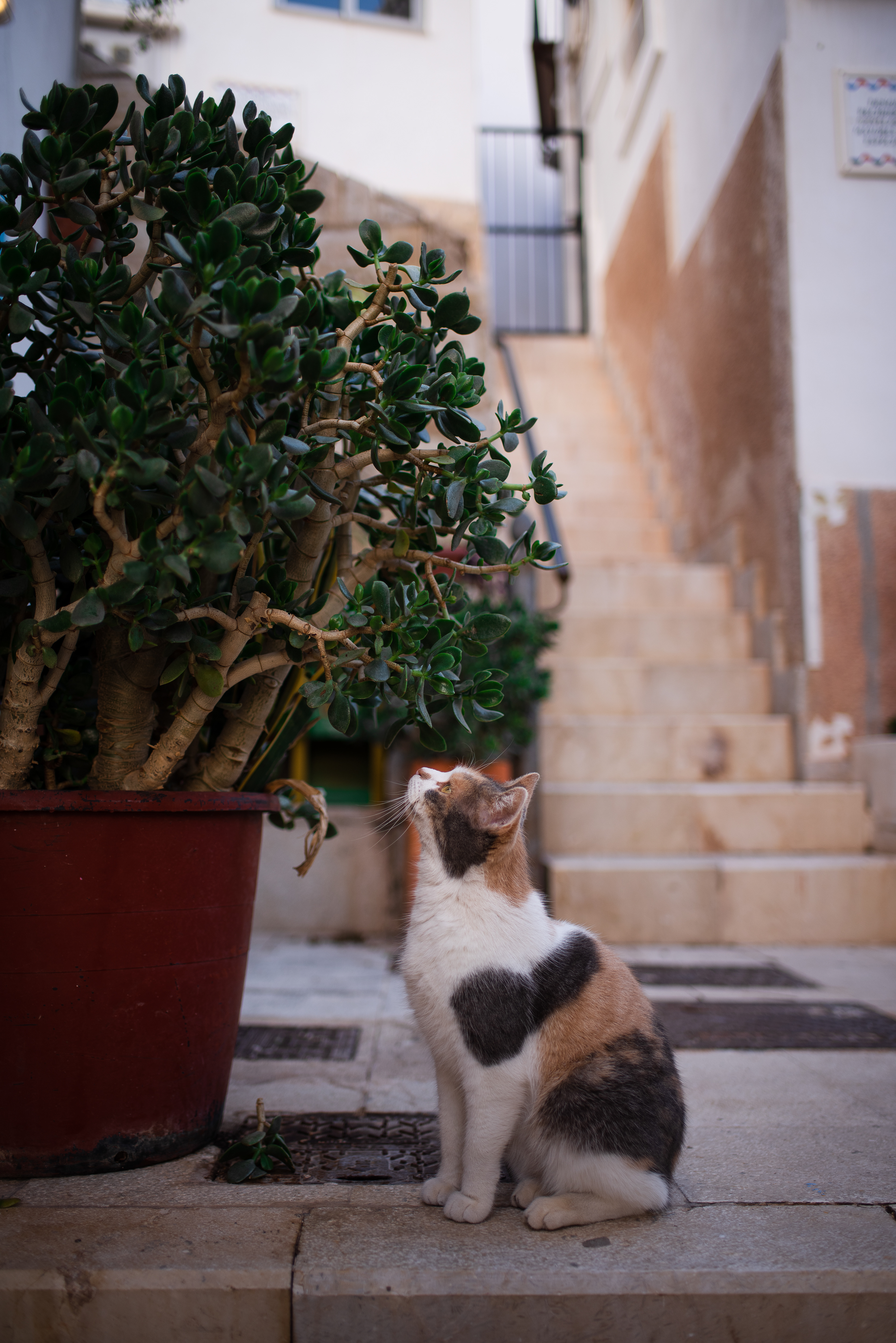 Alicante, Spain - Jan 2022