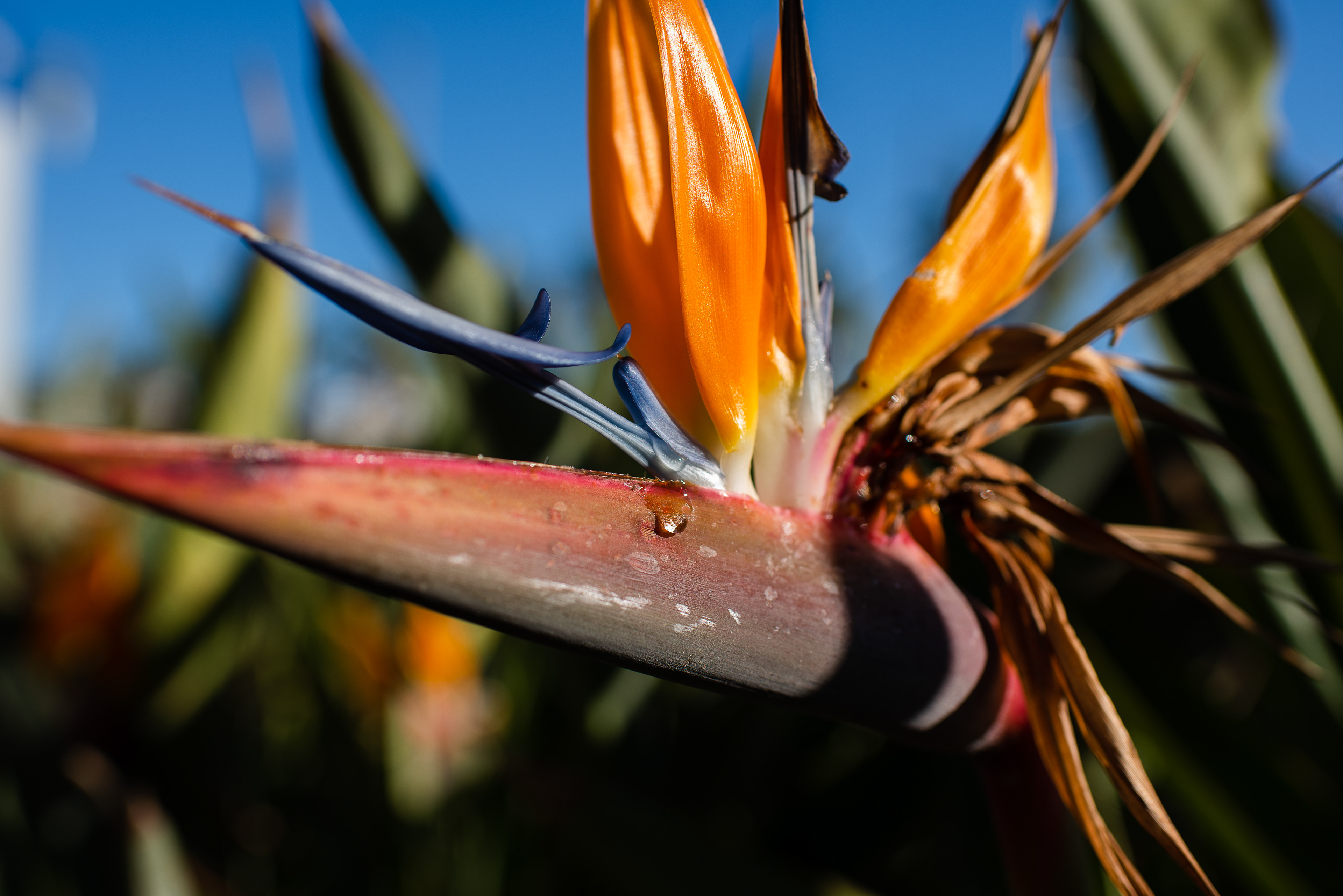 Alicante, Spain - Jan 2022