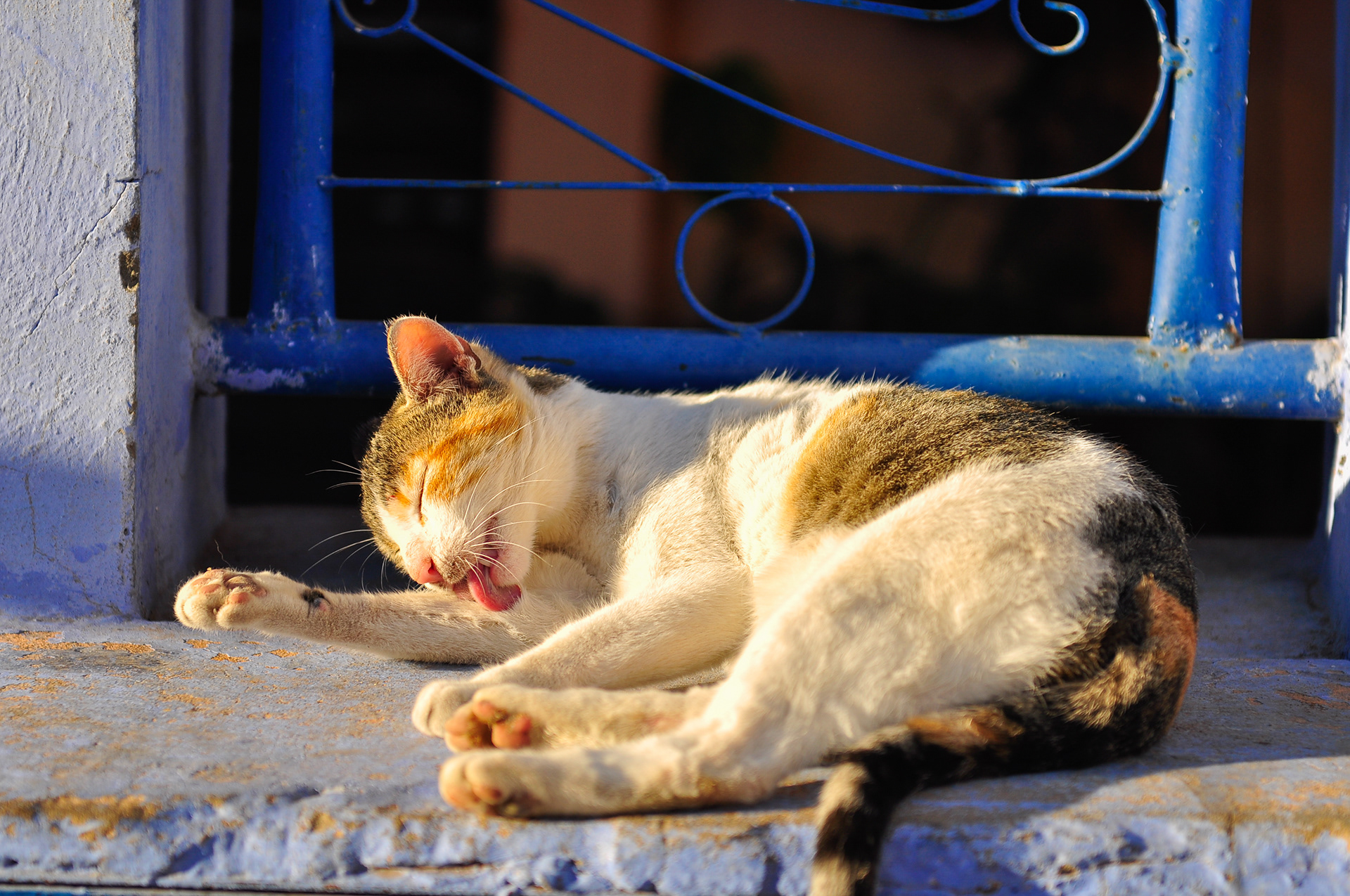Chefchaouen, Morocco - Dec 2016