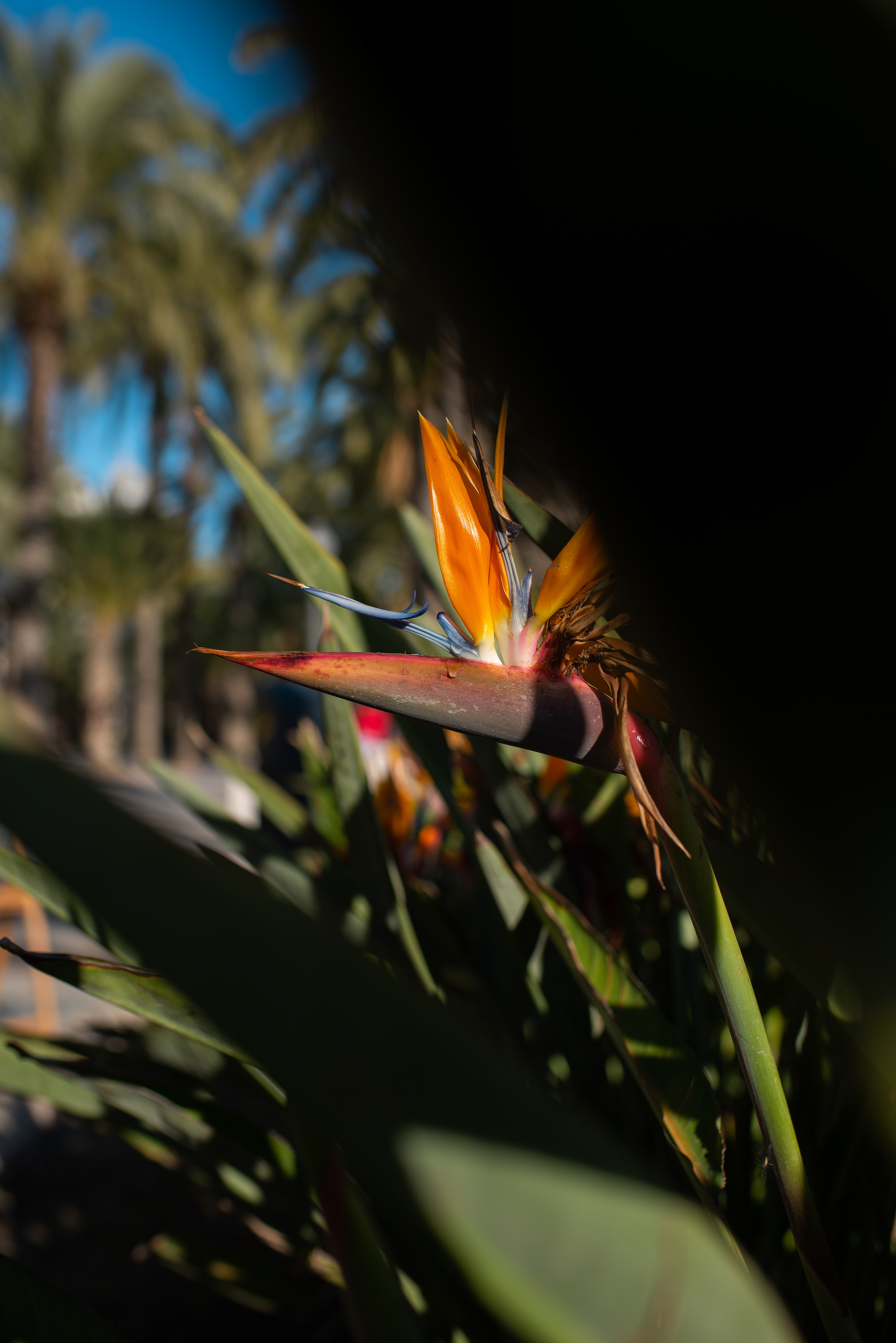 Alicante, Spain - Jan 2022