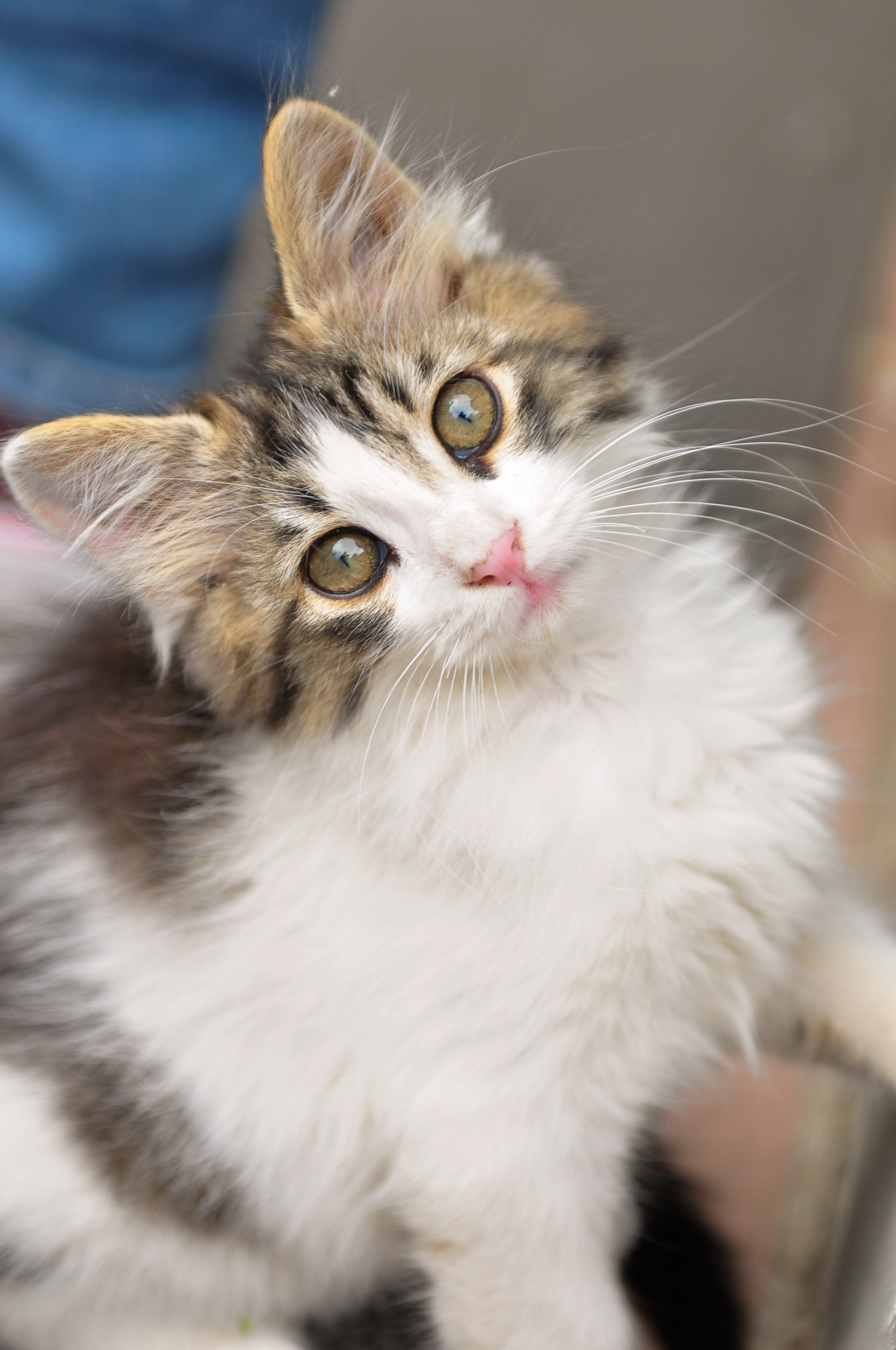 Istanbul, Turkey - May 2015