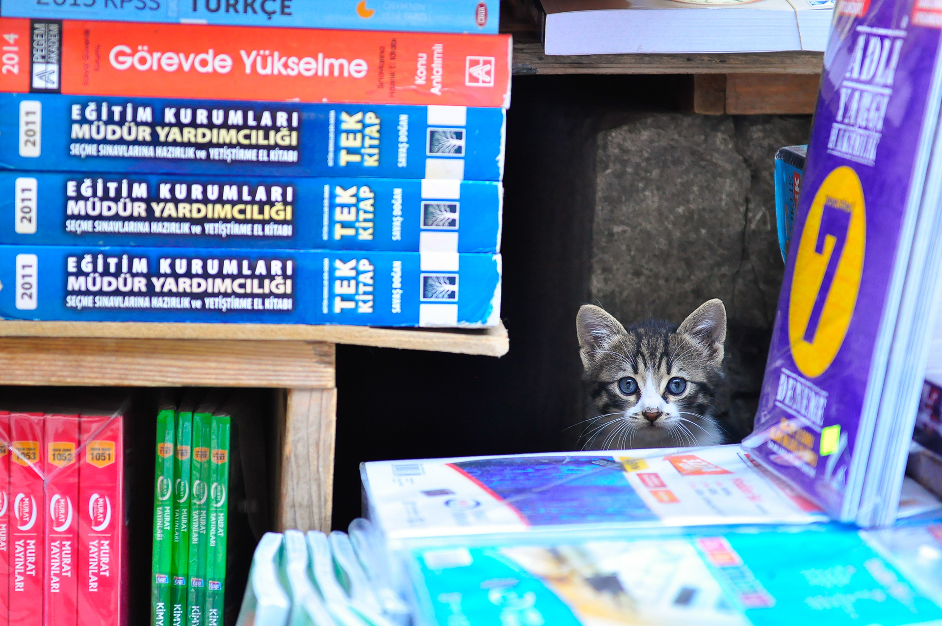 Istanbul, Turkey - May 2015