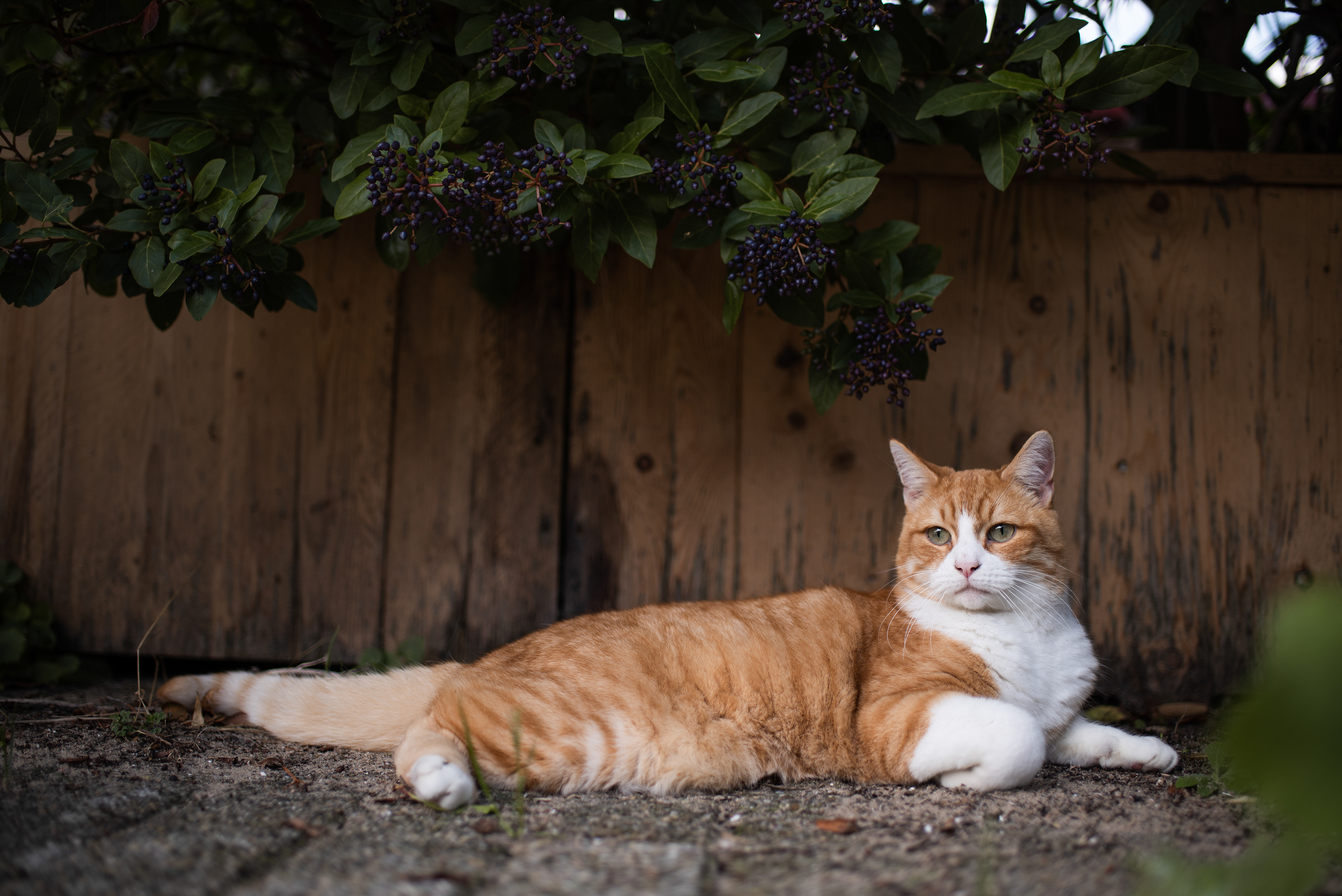 Amsterdam, Netherlands - Sep 2020