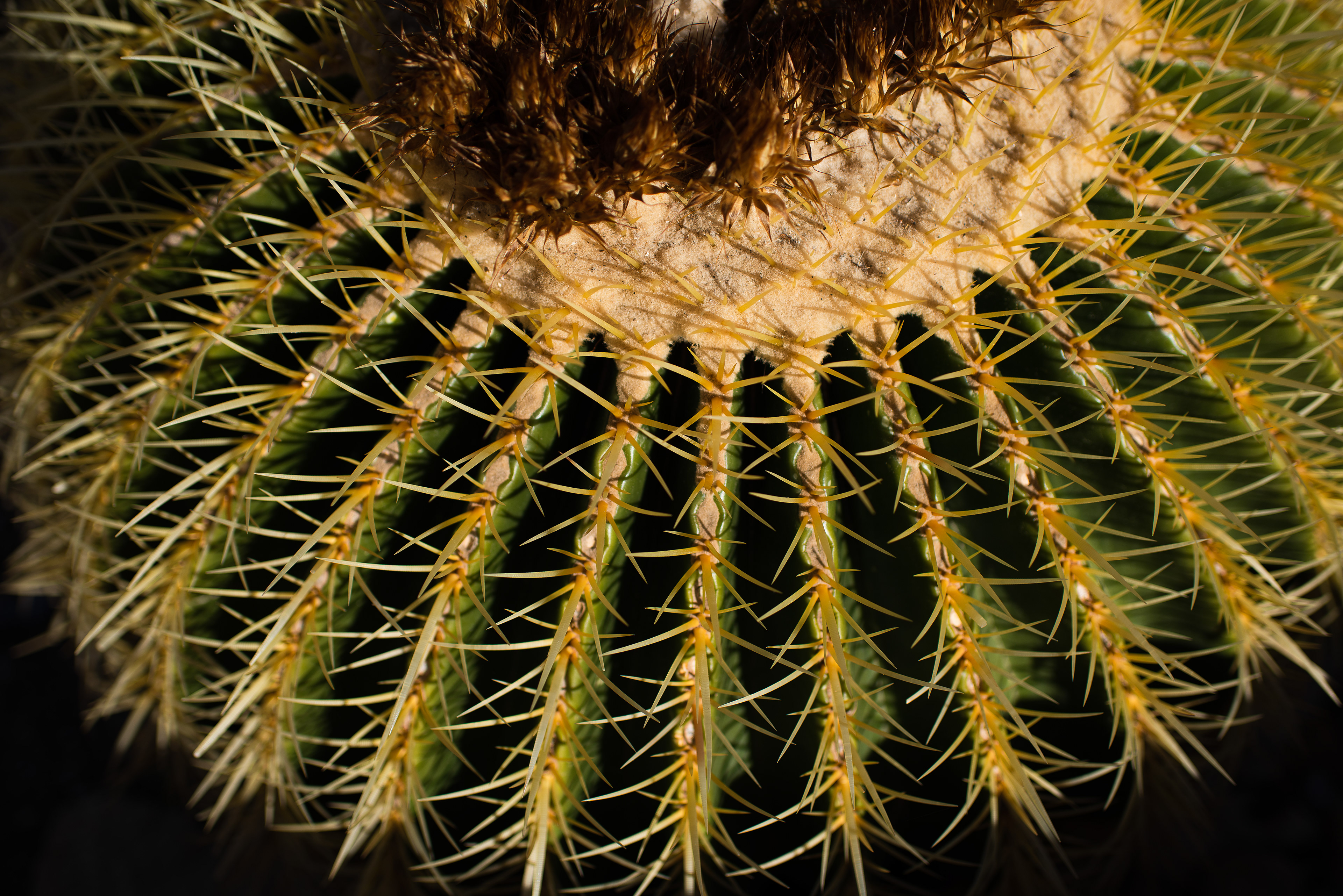 Alicante, Spain - Jan 2022