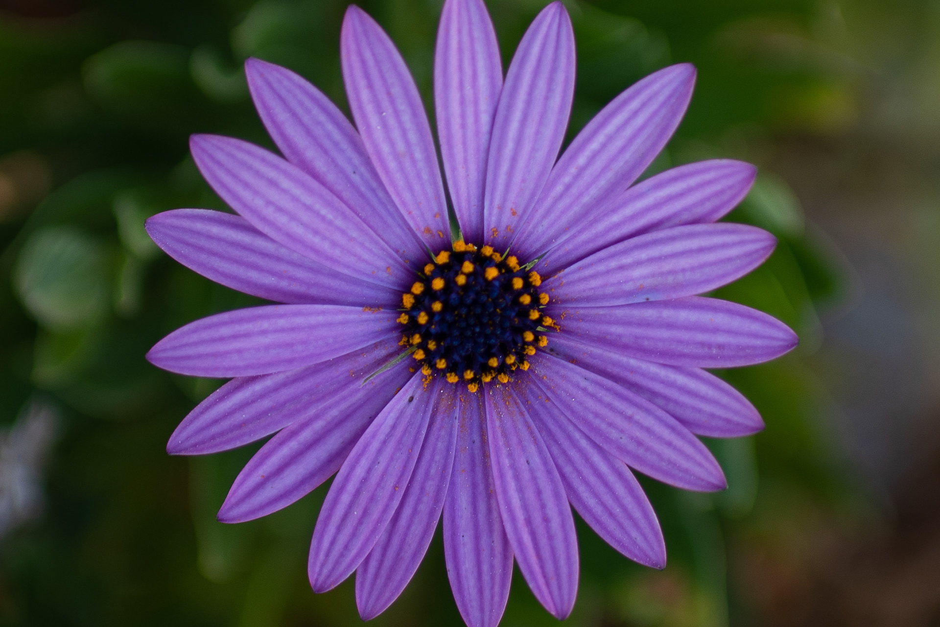 Alicante, Spain - Jan 2022