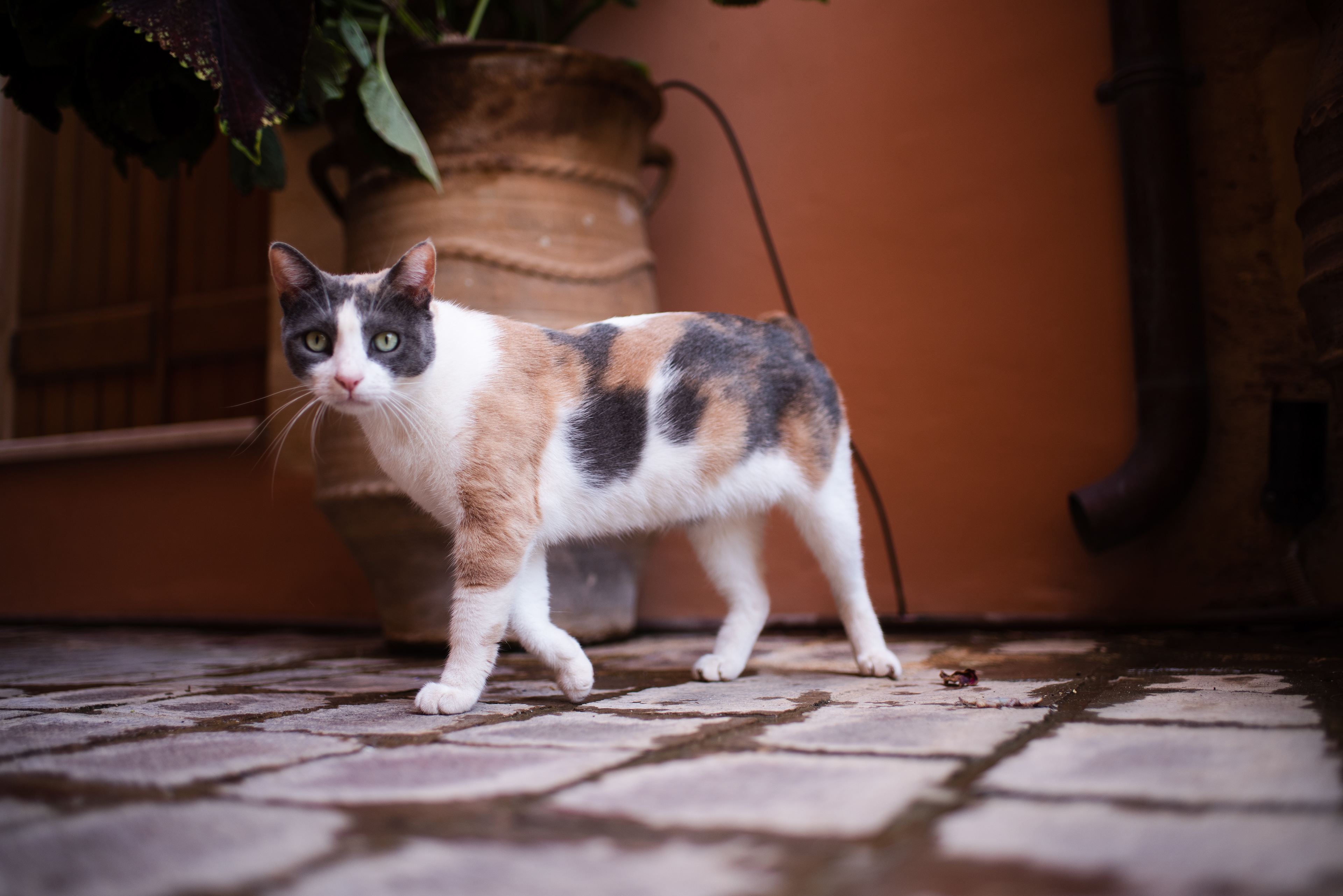 Crete, Greece - Sep 2021