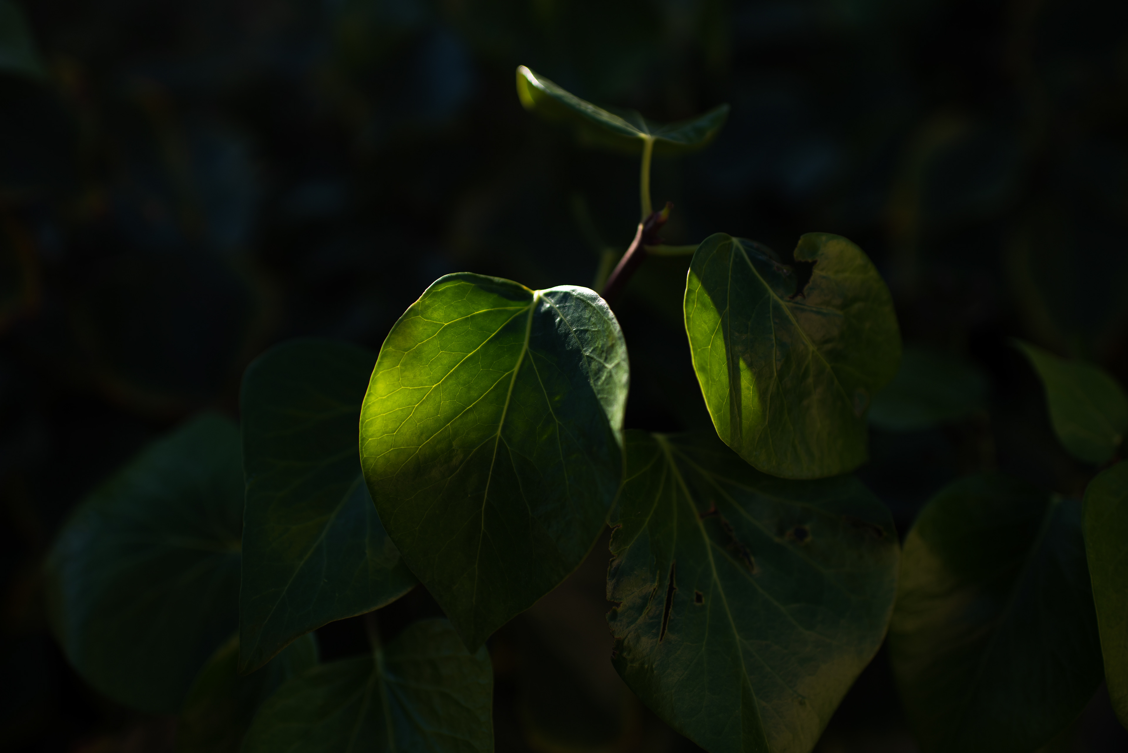 Alicante, Spain - Jan 2022