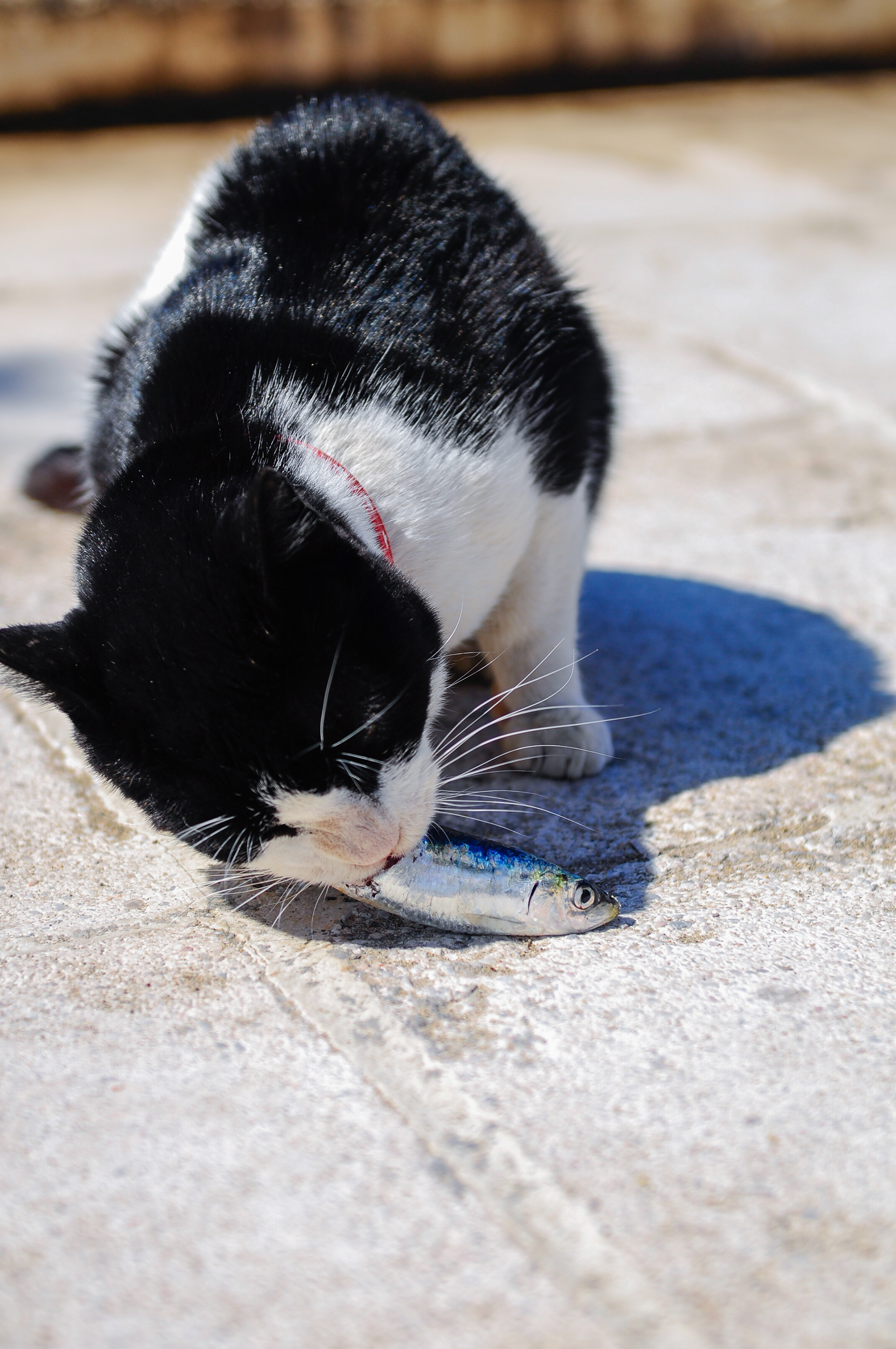 Athens, Greece - Mar 2016