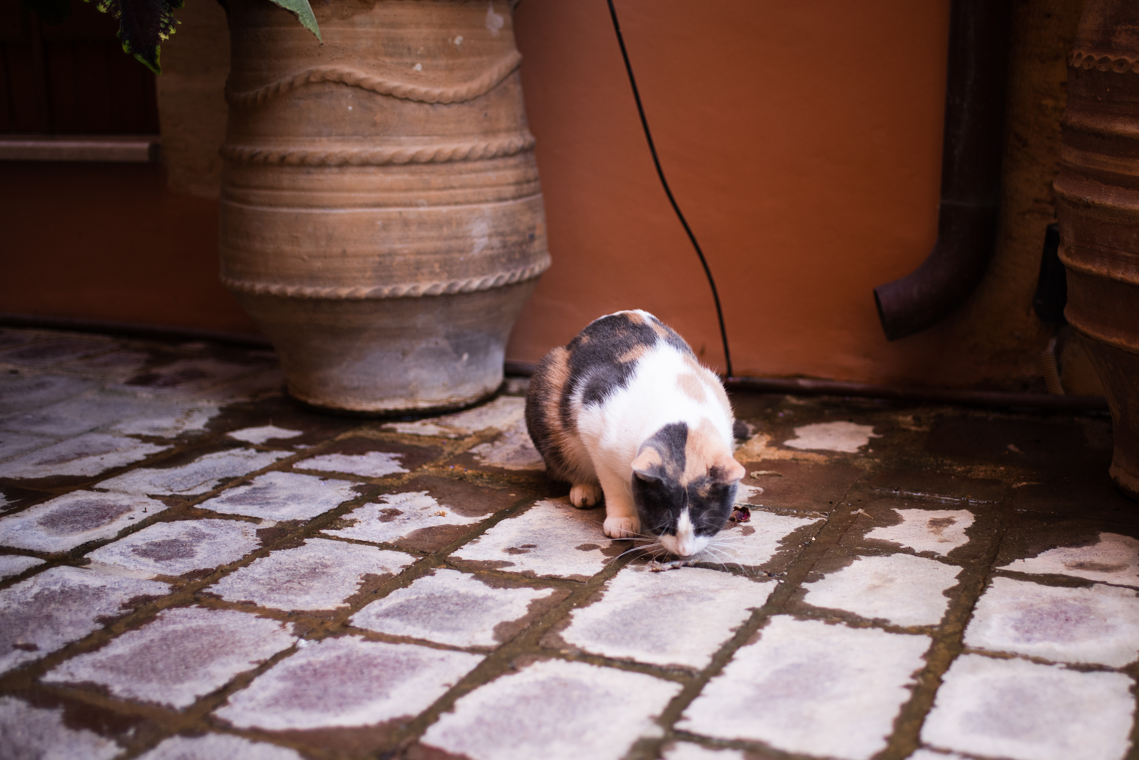 Crete, Greece - Sep 2021