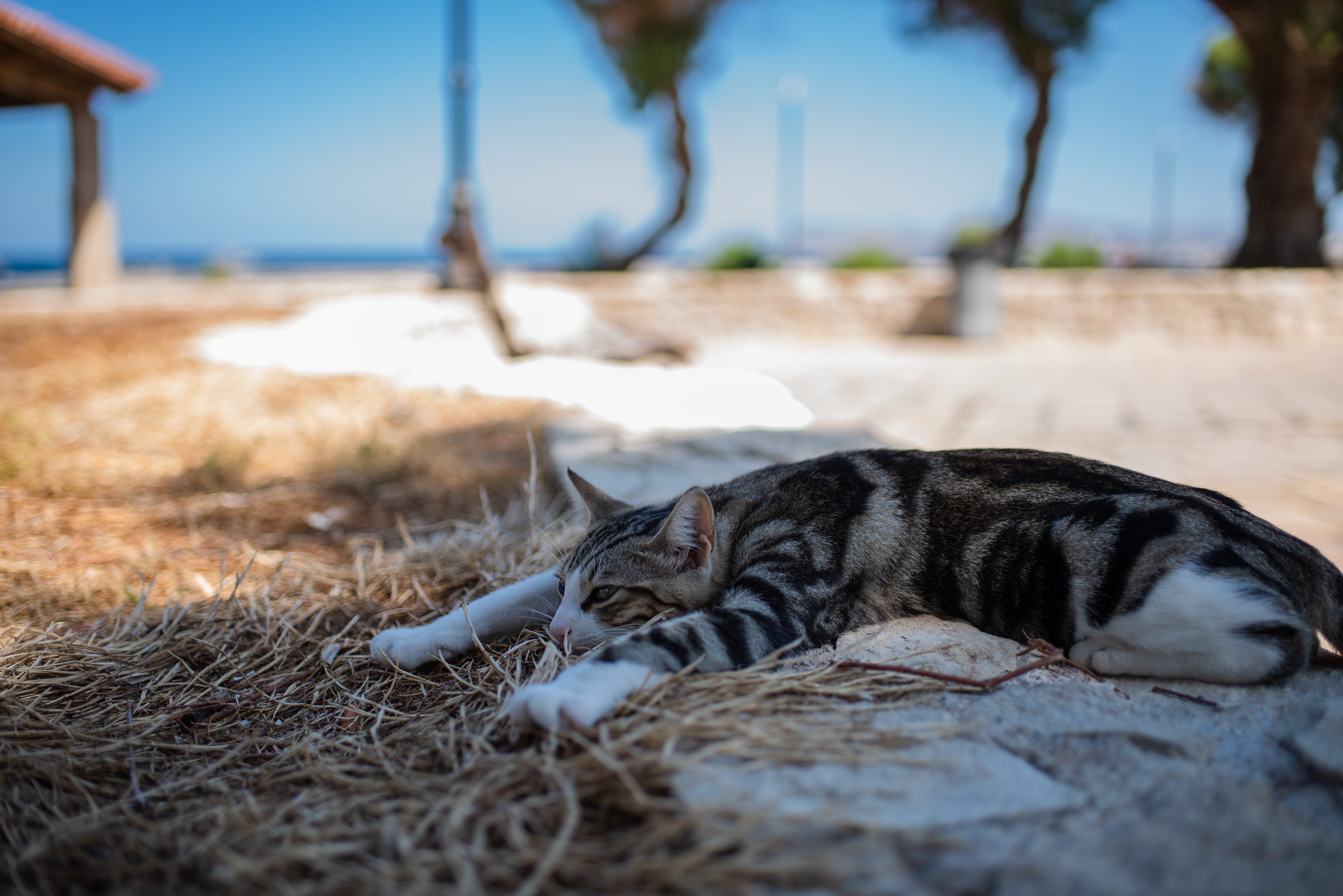 Crete, Greece - Sep 2021