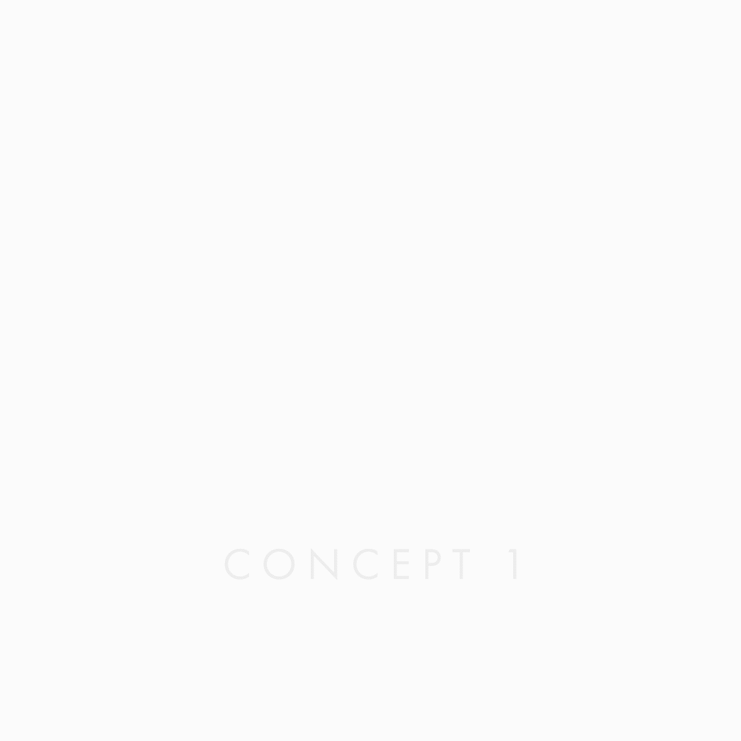 Concept 1