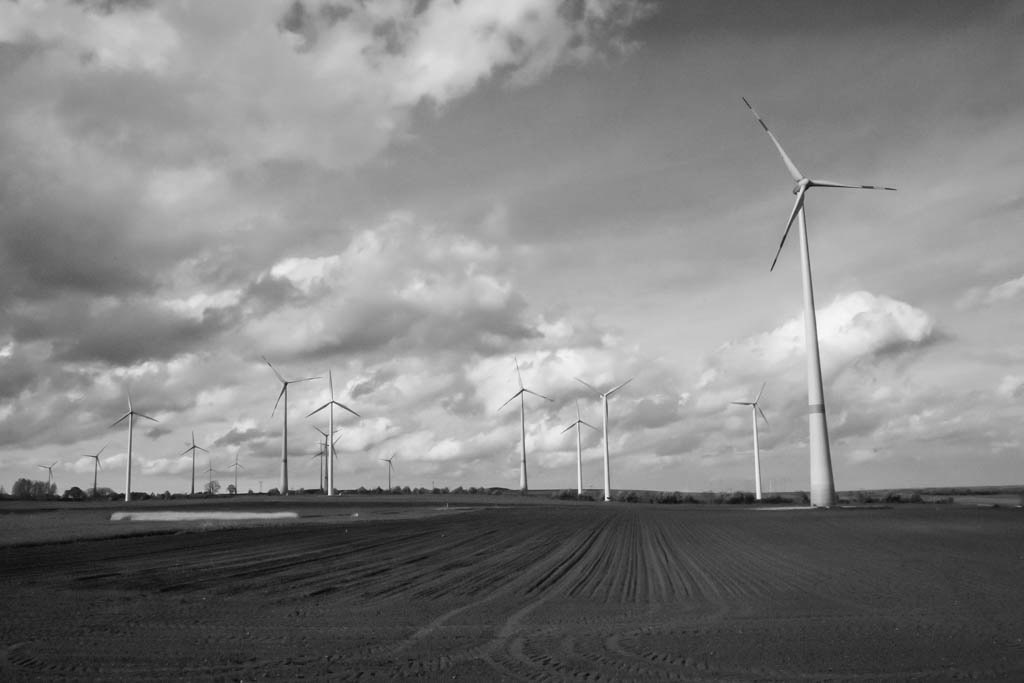 Uckermark | 2020