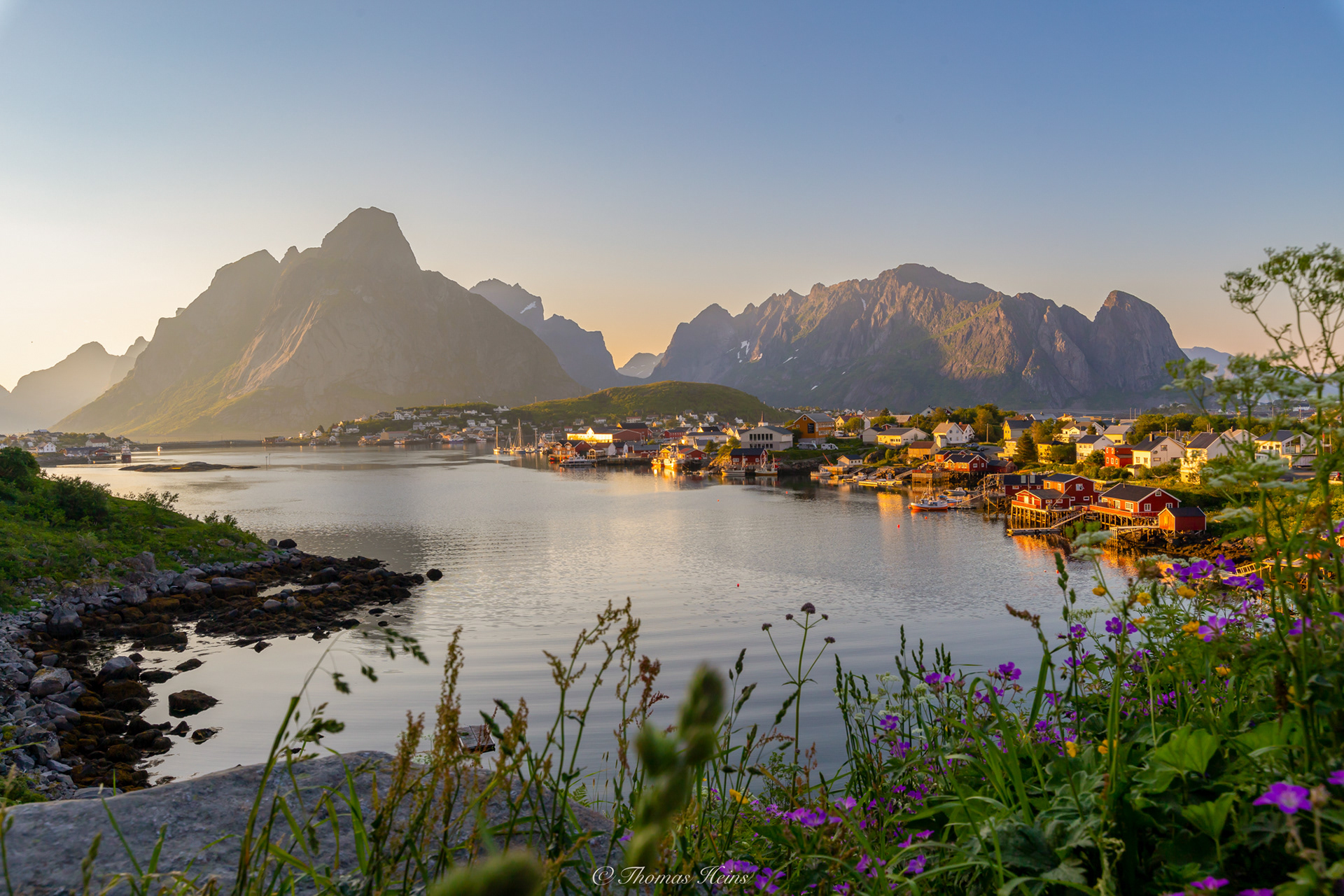 Reine
