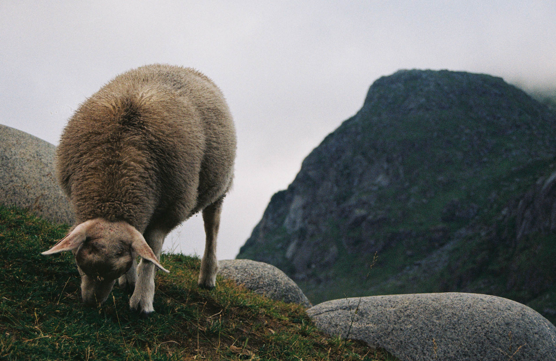 Lofoten