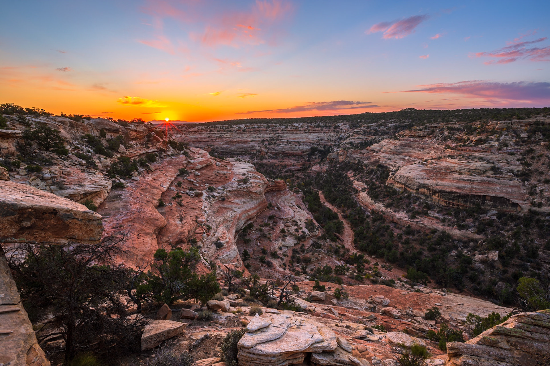 Bears Ears Sunrise
