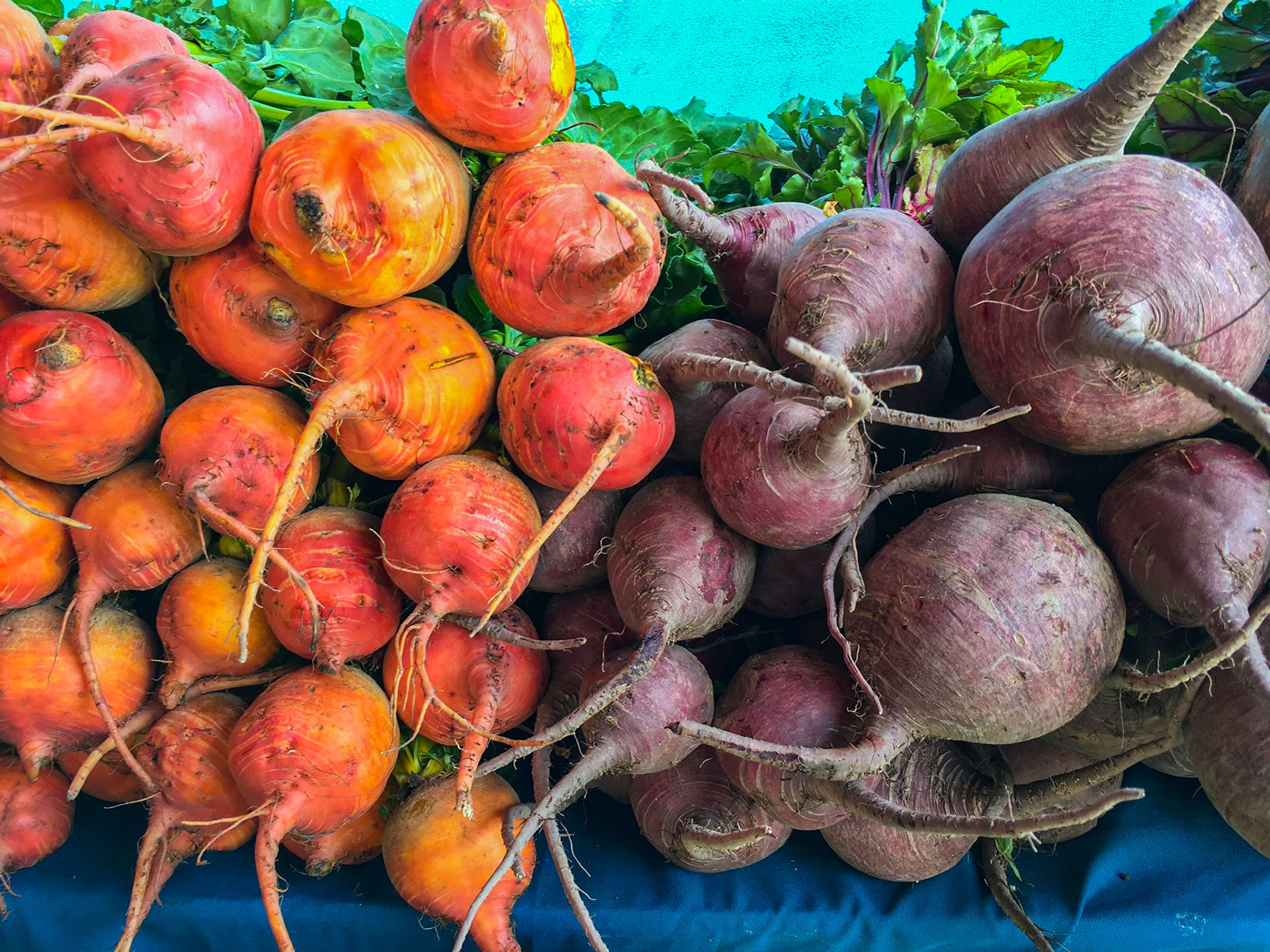 Chatham Farmers Market
