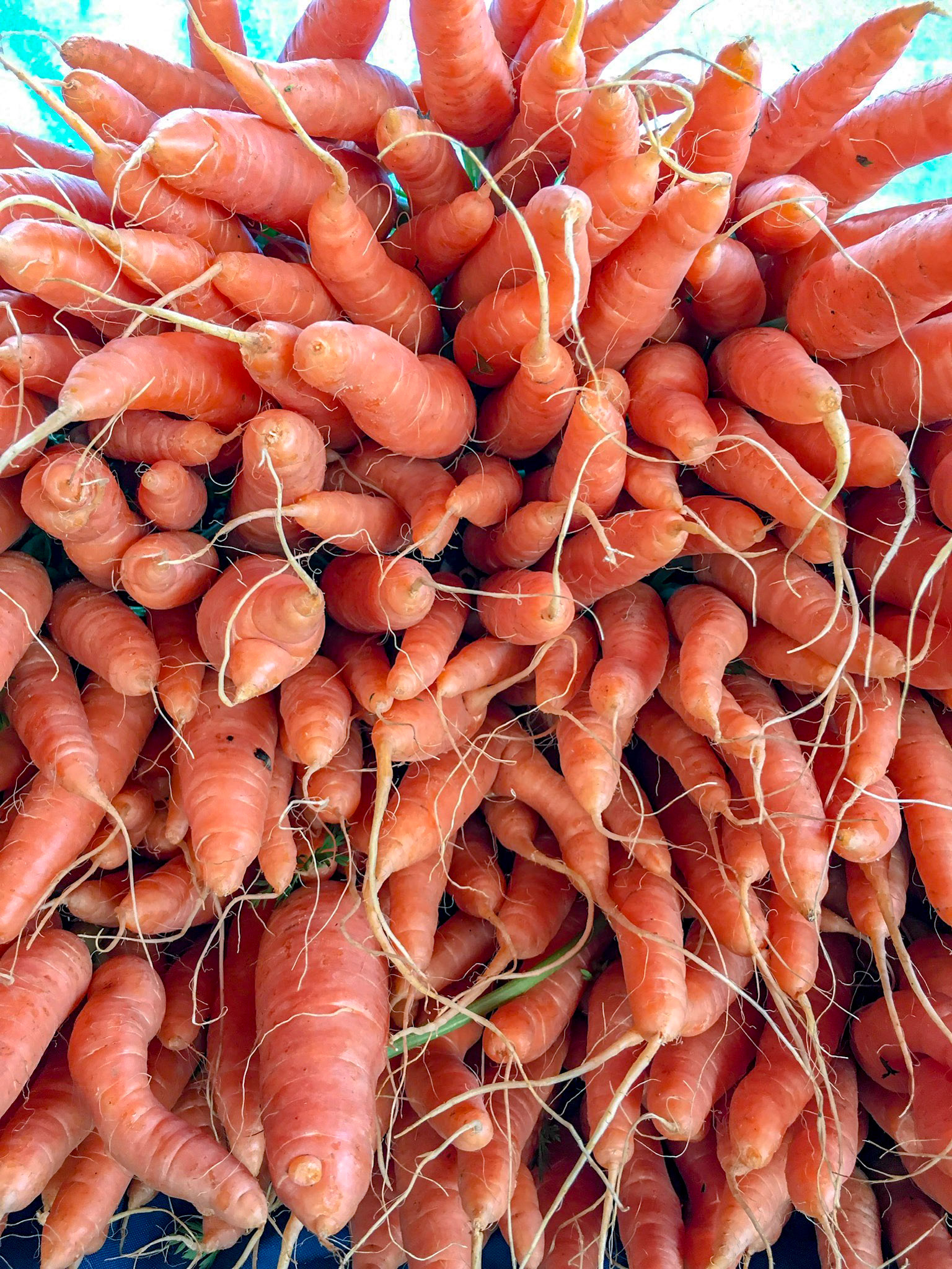 Chatham Farmers Market