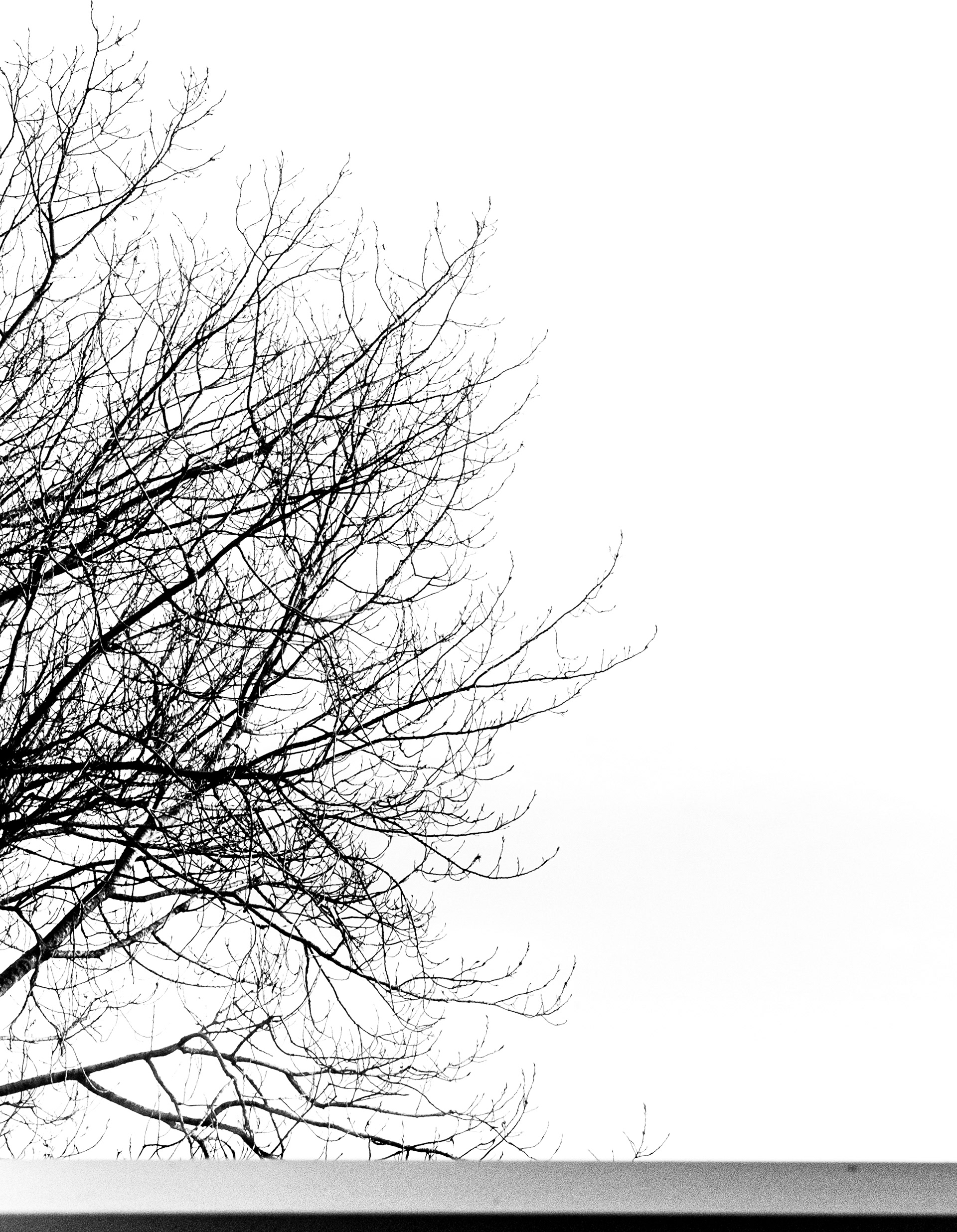 Reimagine-35