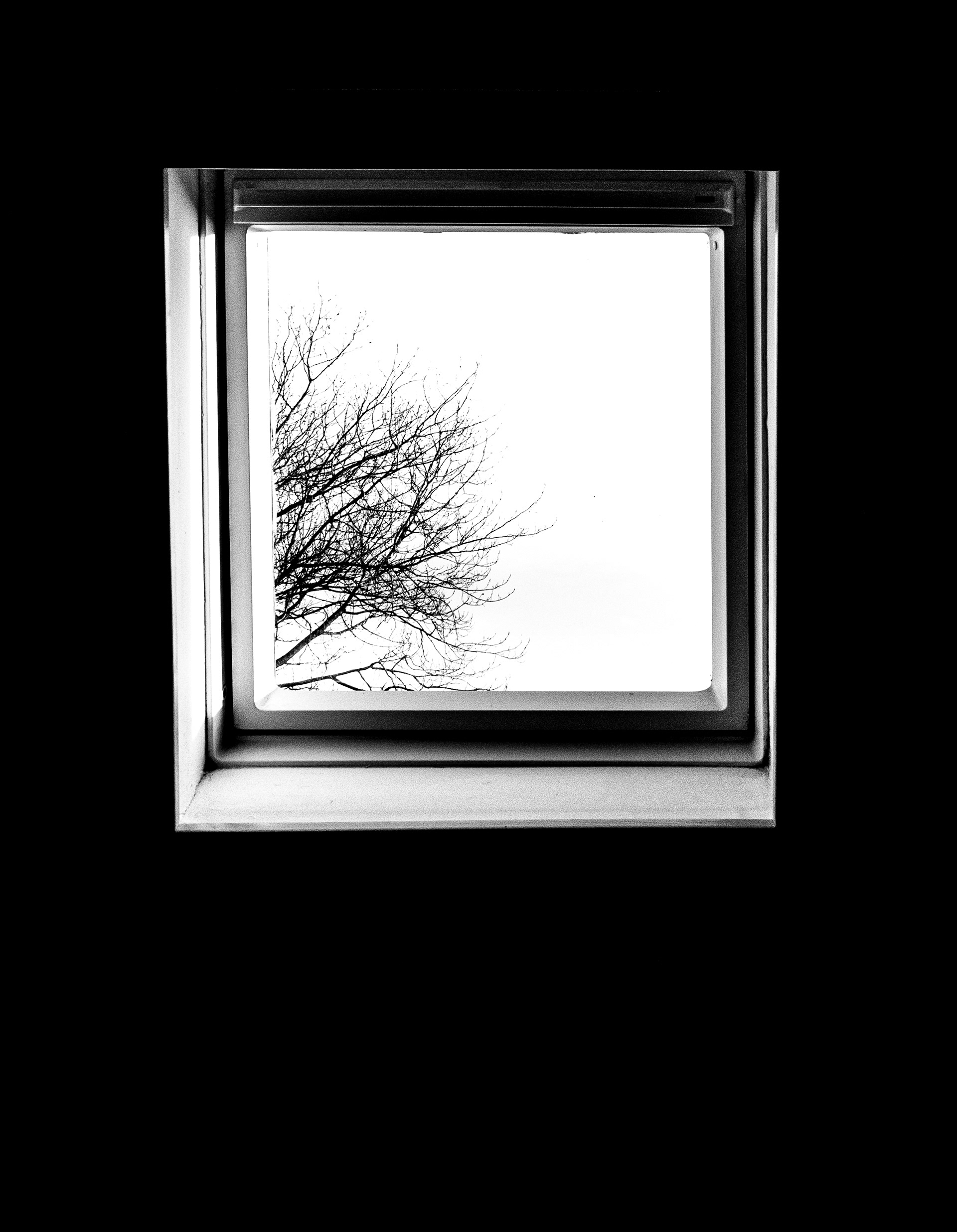 Reimagine-34