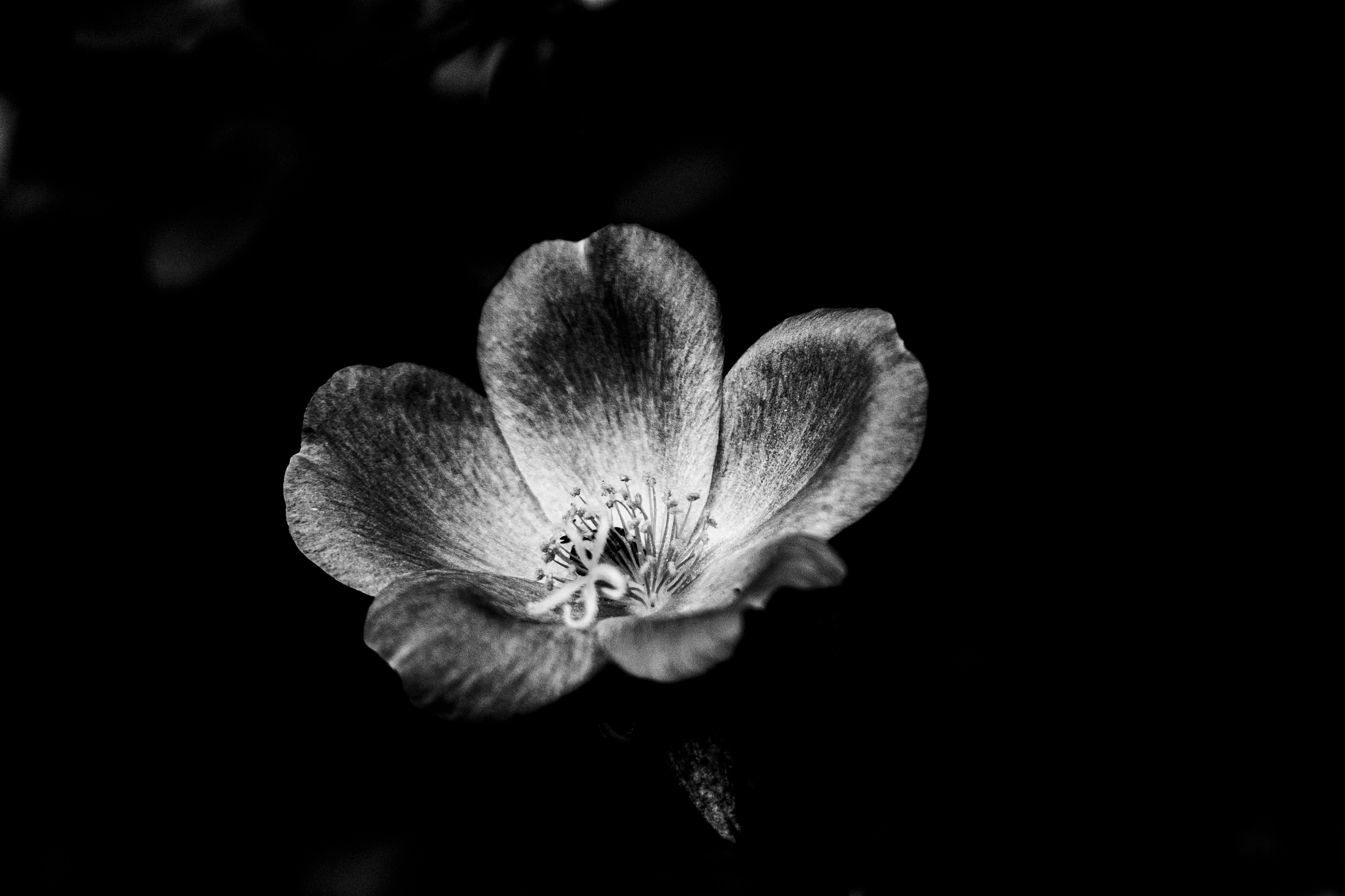 WONDER-LAND -23