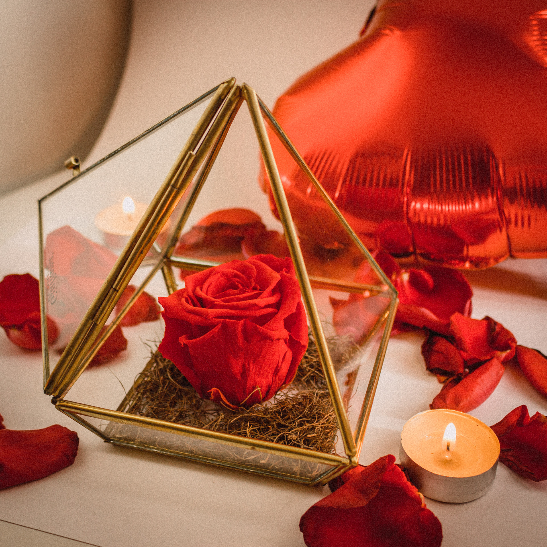 Foto rosa vermelha, por Lucas Espindola Braga