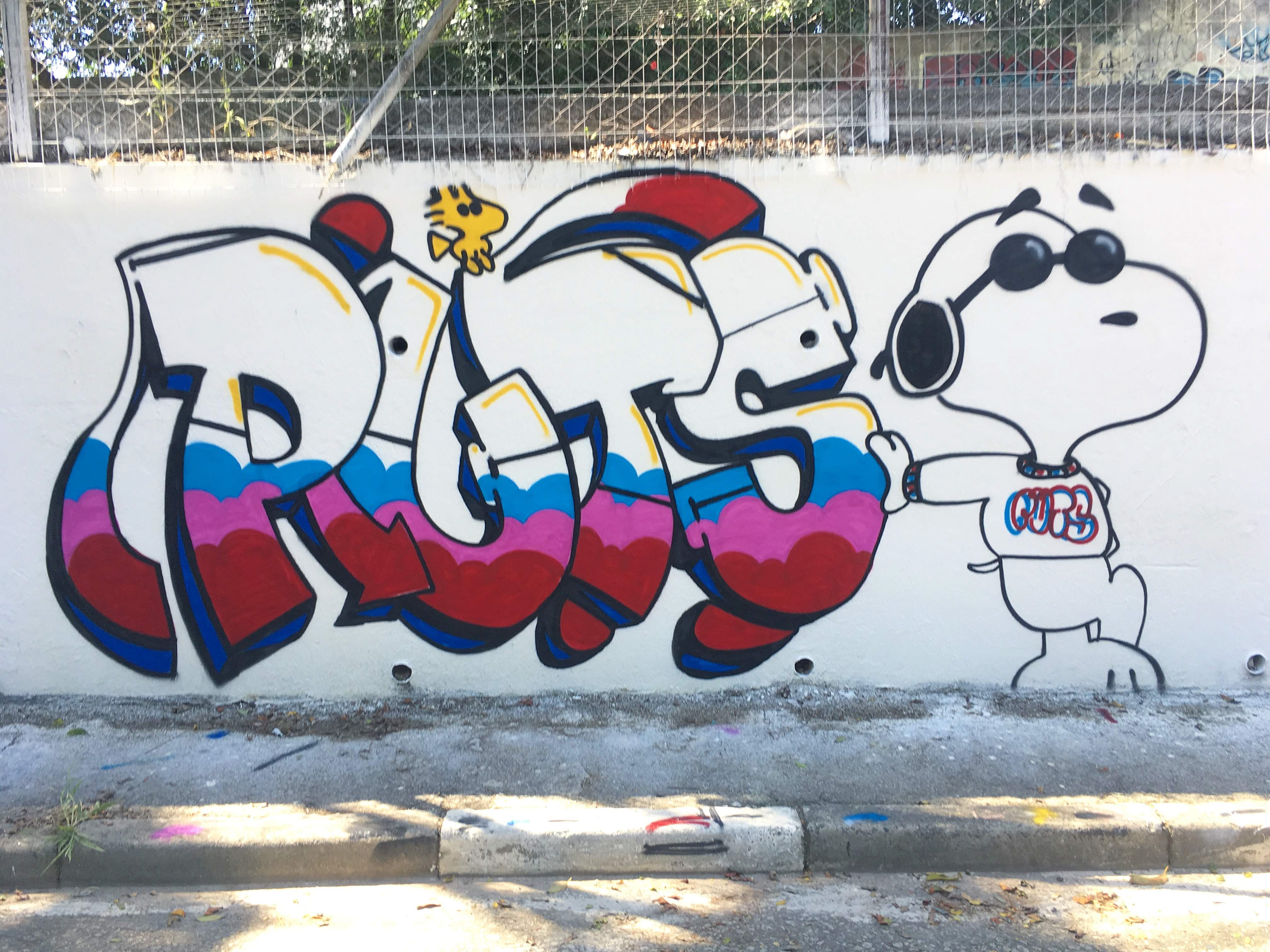 foto grafitti PUTS , foto por Lucas Espindola Braga 