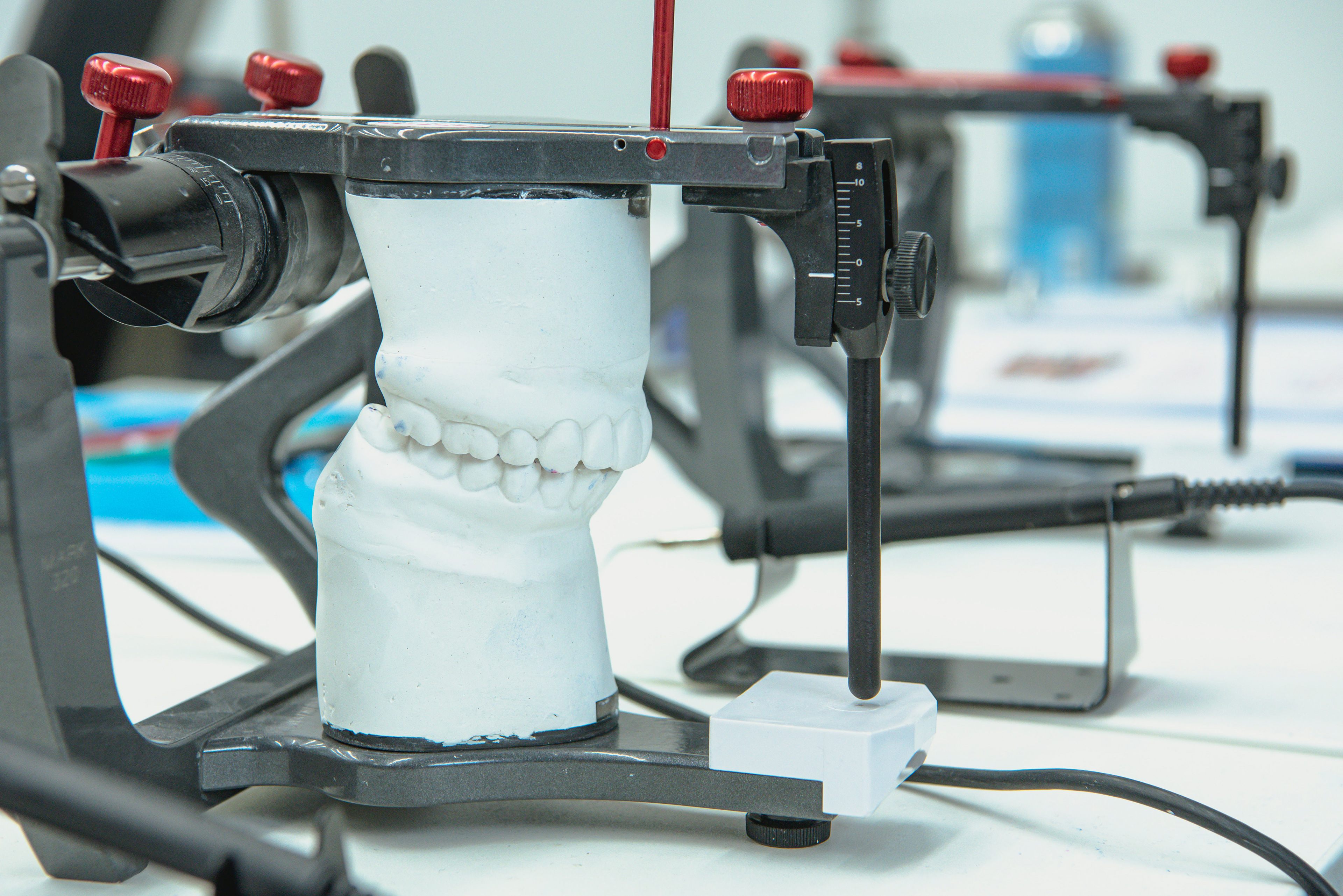 Akademia Dawsona Polska