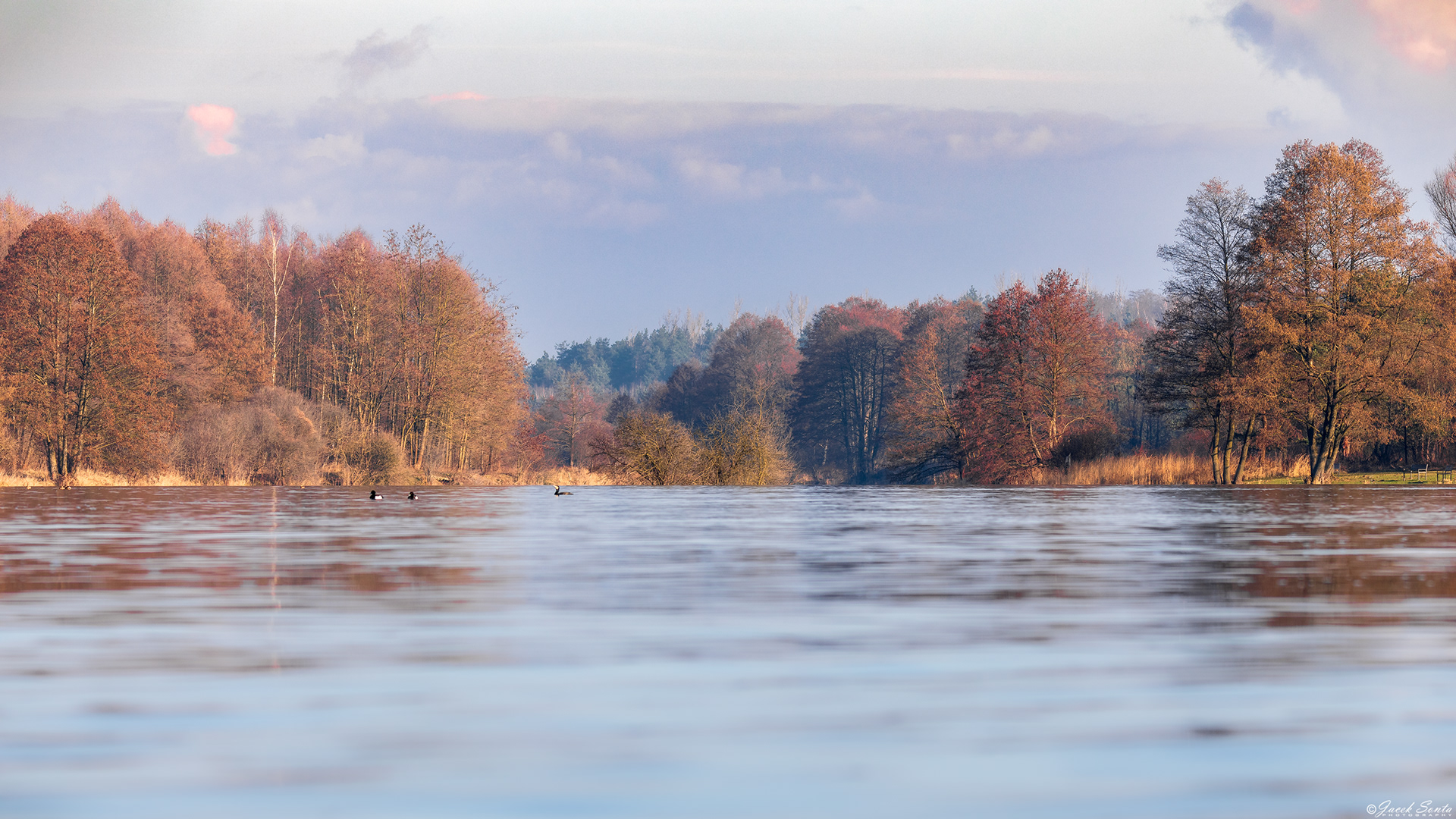 ID250224 - Smardzewice