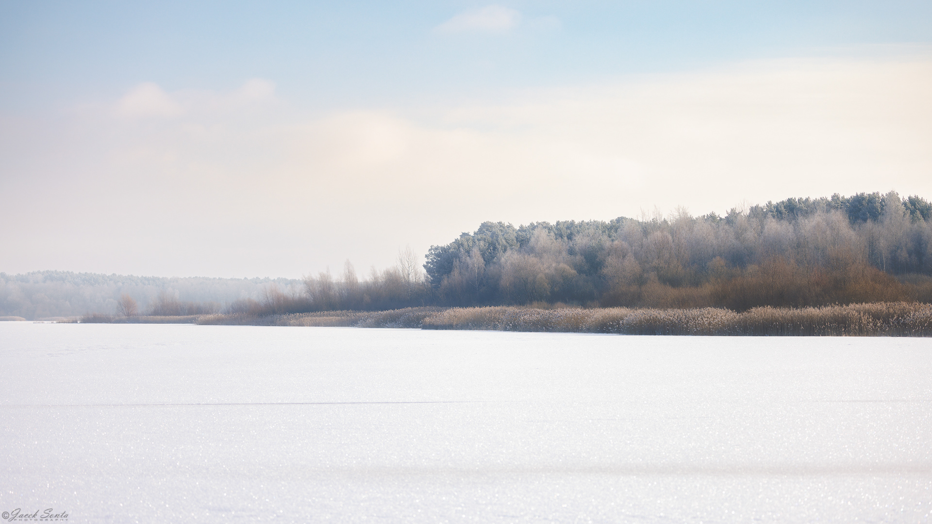 ID100126 - Frosty morning Winter 2026