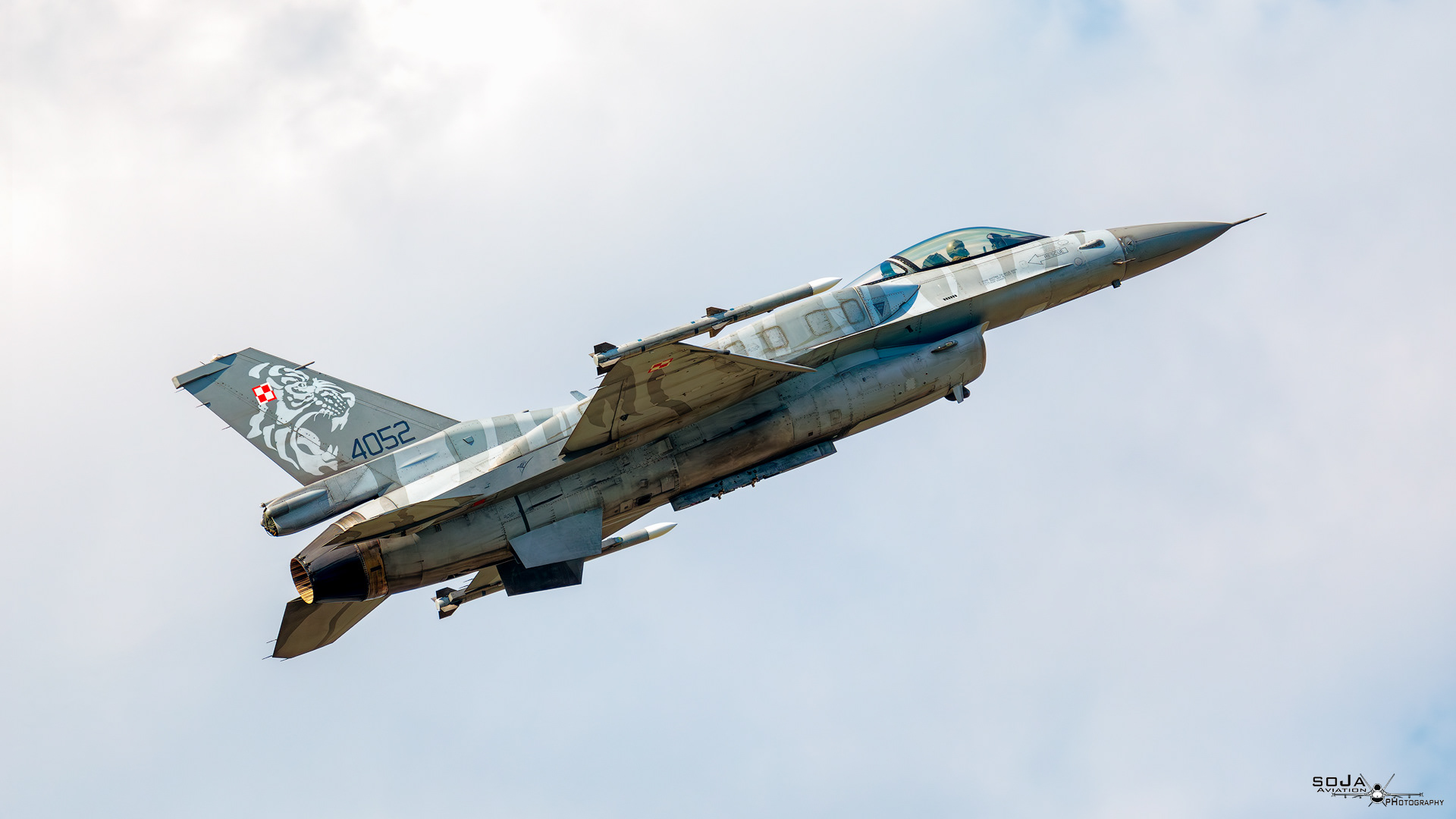 ID240823-F16C TIGER 4052