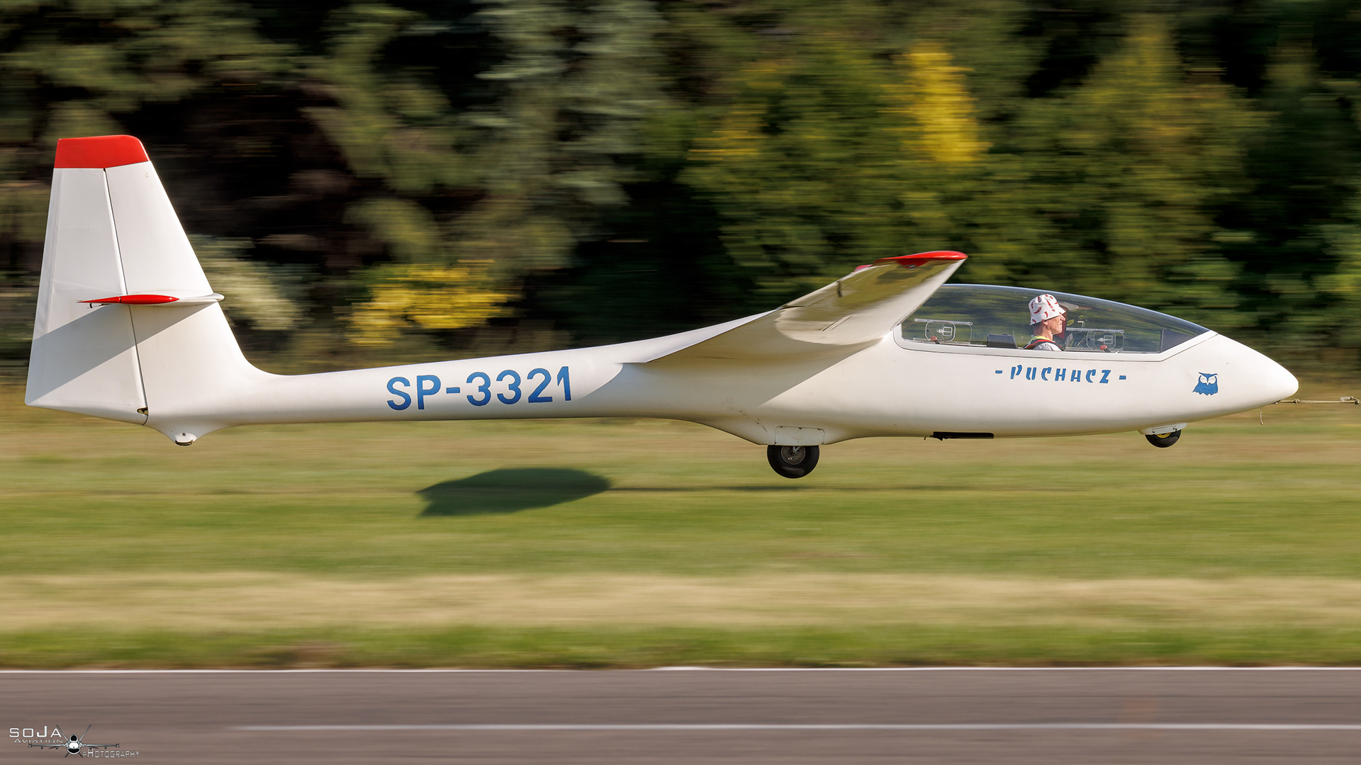 ID210924 - Aeroklub Ziemi Piotrkowskiej  PZL-SZD-50 Puchacz SP-3321 #3