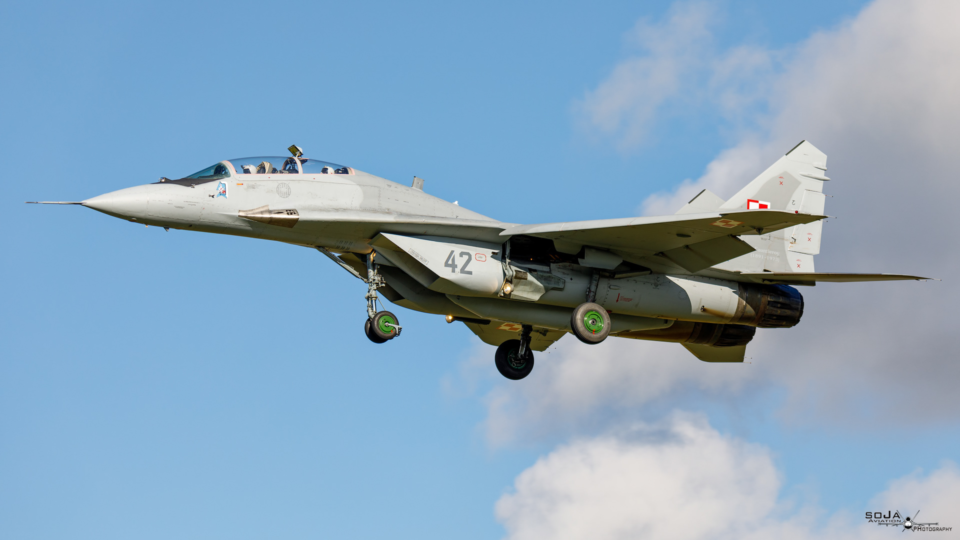 ID171023-Poland Air Force MiG-29UB 42 cn# 50903014642