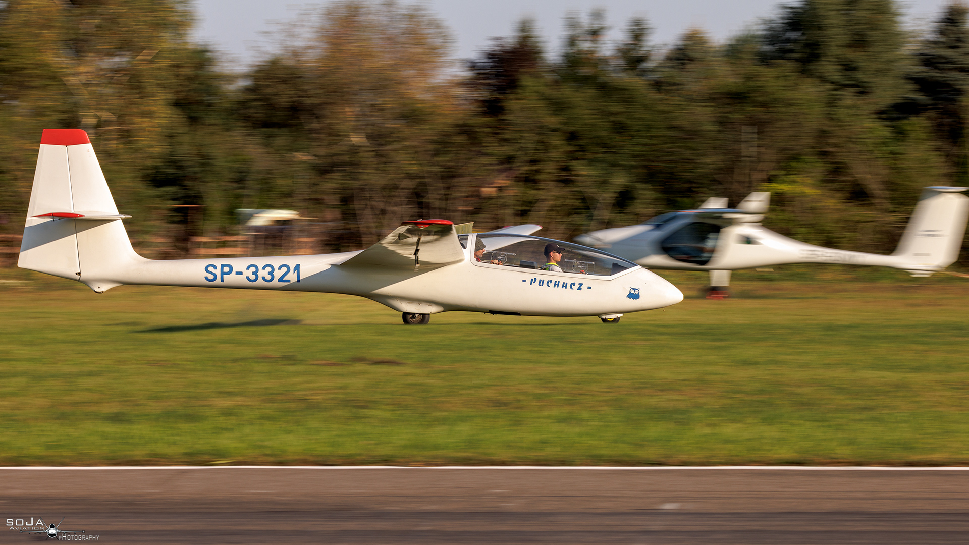 ID210924 - Aeroklub Ziemi Piotrkowskiej  PZL-SZD-50 Puchacz SP-3321 #4