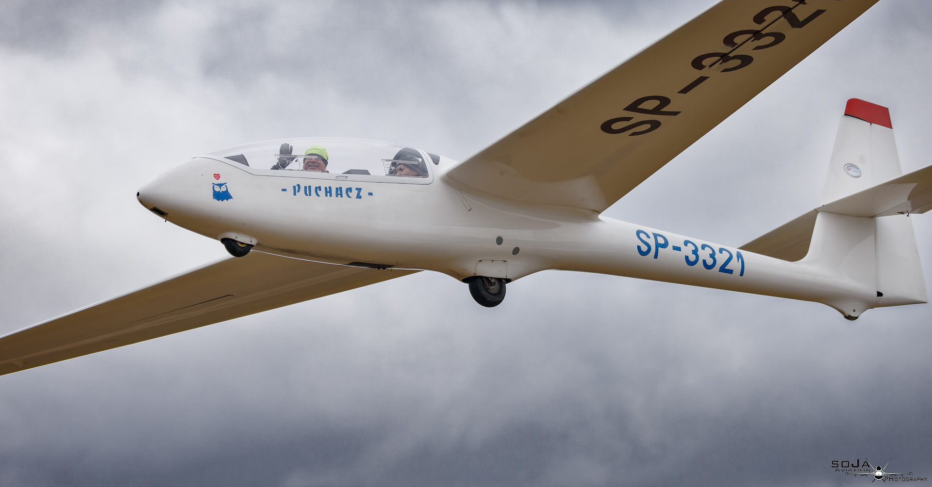 ID260125 - Aeroklub Ziemi Piotrkowskiej  PZL-SZD-50 Puchacz SP-3321 #3