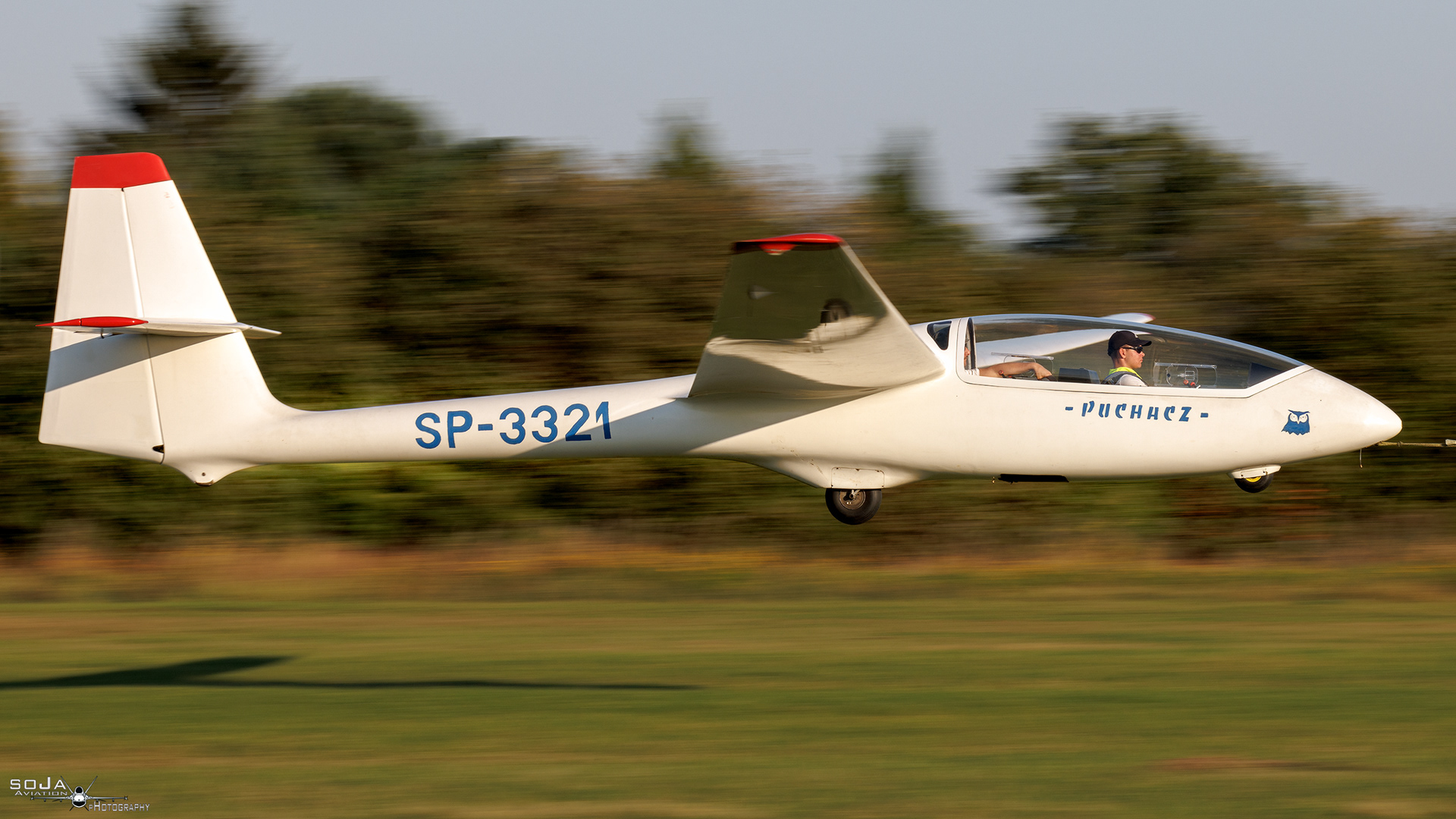 ID210924 - Aeroklub Ziemi Piotrkowskiej  PZL-SZD-50 Puchacz SP-3321 #5