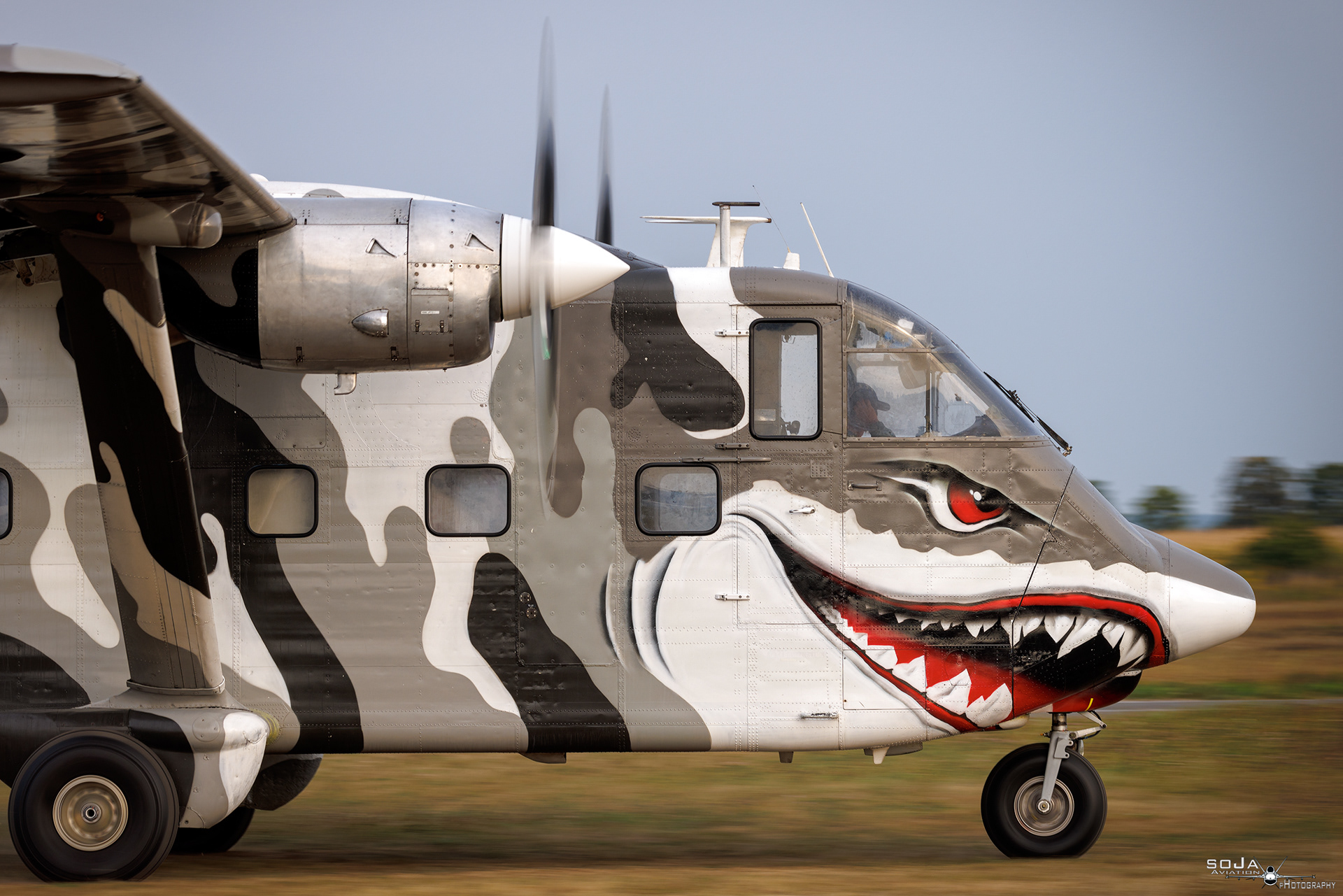 ID31-824 - SkyForce Short SC-7 Skyvan SP-HOP Sharky cn# SH1906 #3