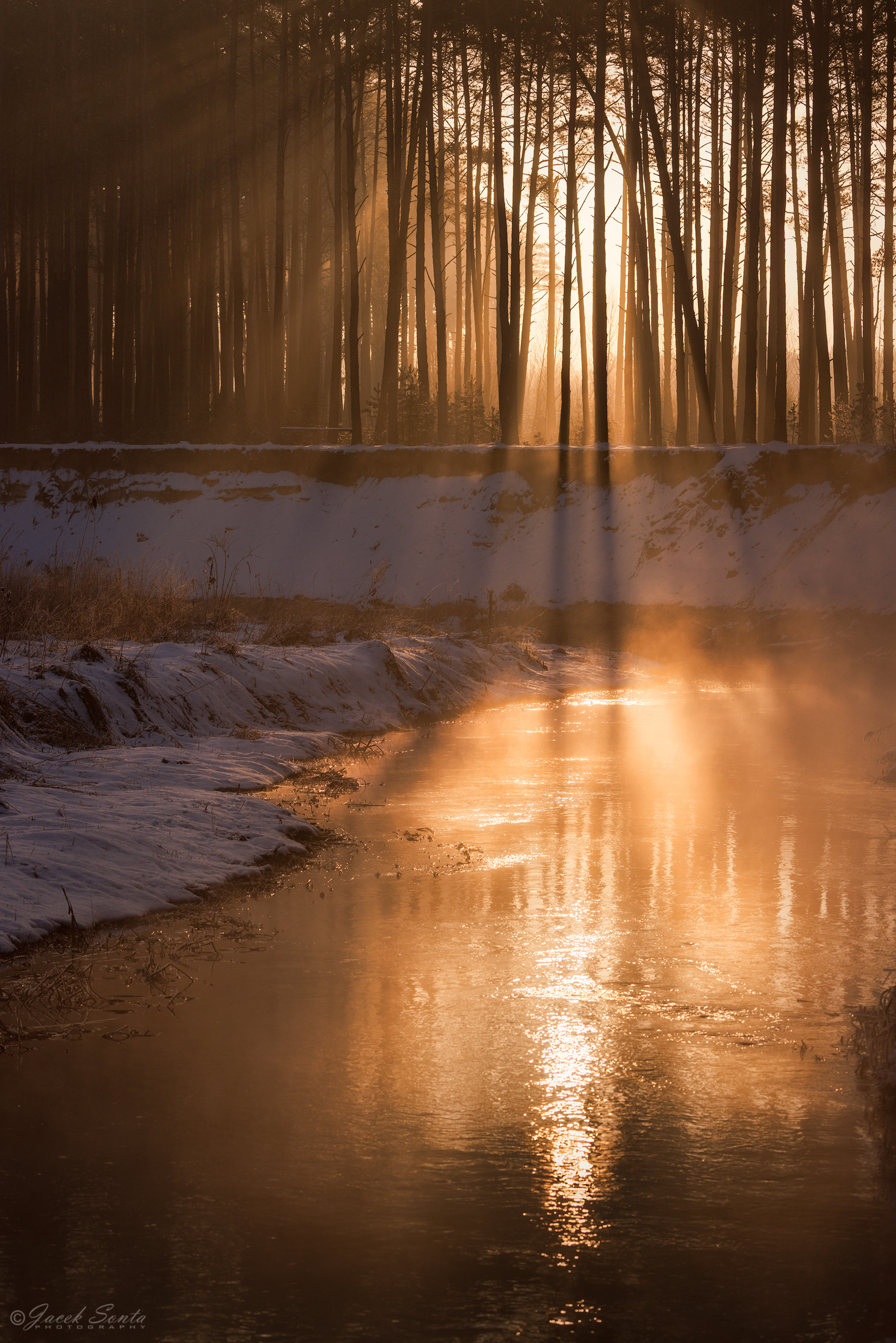 ID190226 - Luty 2026 - Kłudzice #2