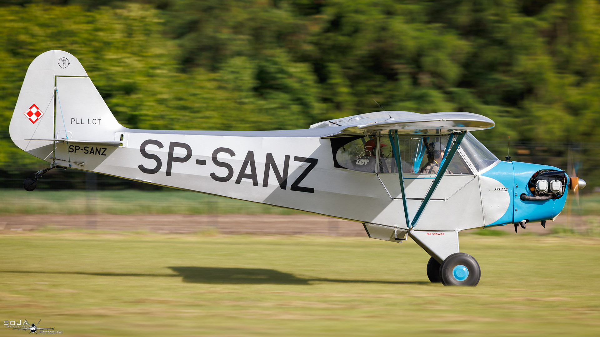 ID230525 - PIPER J3 CUB SP-SANZ #3