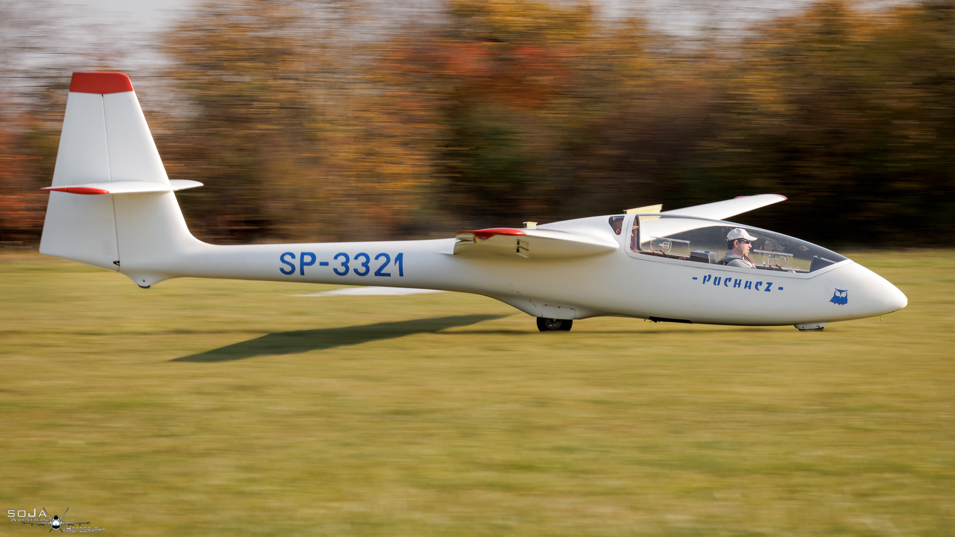 ID261024 - Aeroklub Ziemi Piotrkowskiej  PZL-SZD-50 Puchacz SP-3321 #6