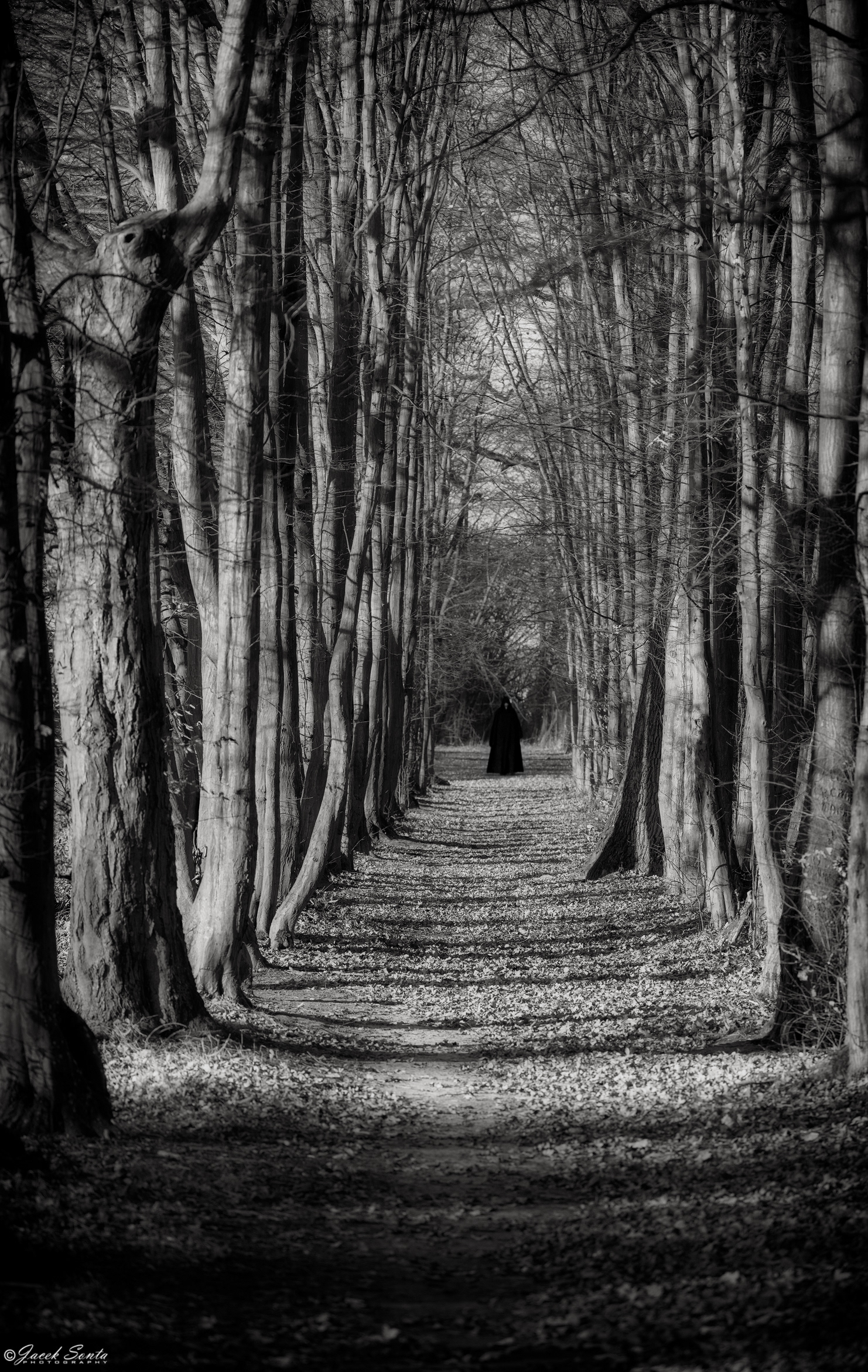 ID191125 - Przewodnik mroku