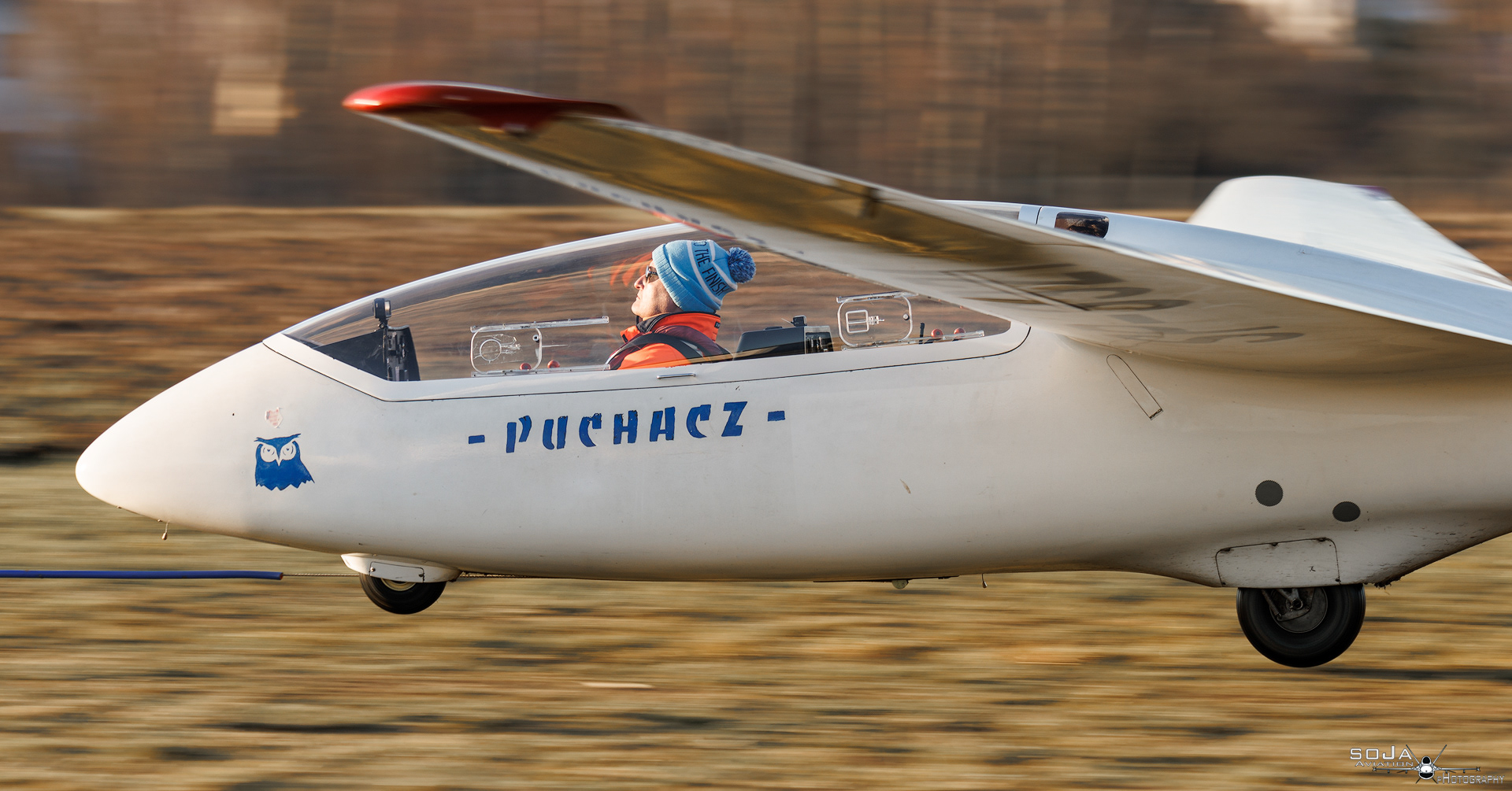 ID311224 - Aeroklub Ziemi Piotrkowskiej  PZL-SZD-50 Puchacz SP-3321 #3