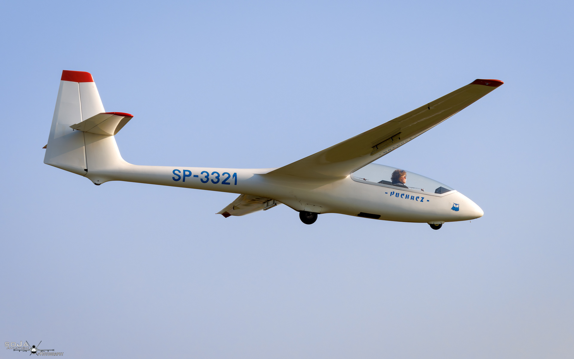 ID261024 - Aeroklub Ziemi Piotrkowskiej  PZL-SZD-50 Puchacz SP-3321 #4