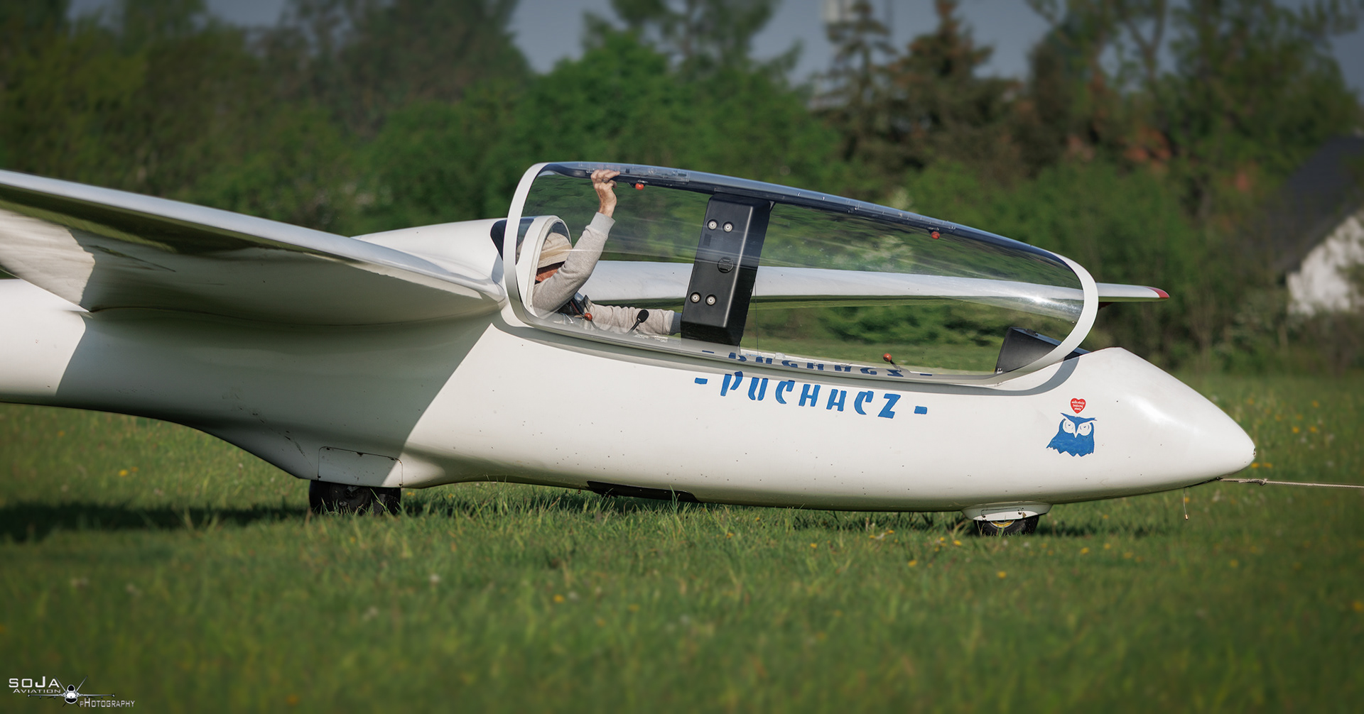 ID030525 - Hrabia Mirosław