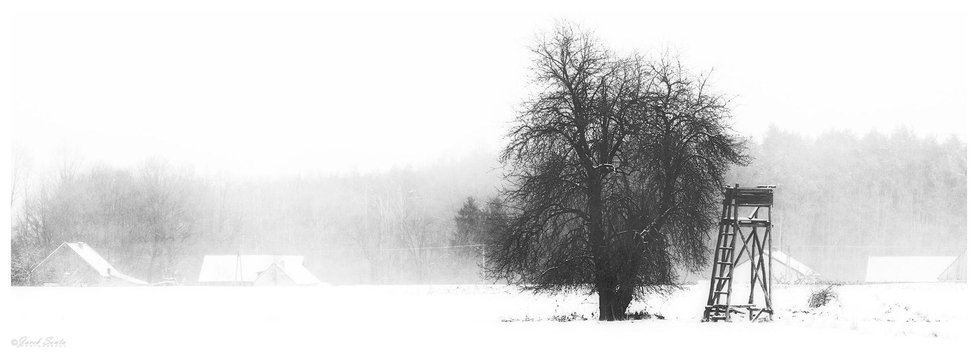 ID120126 - Winter fields