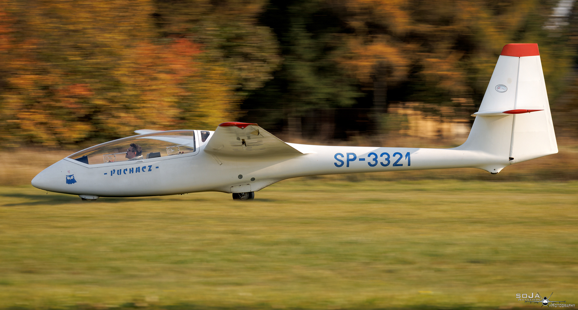 ID261024 - Aeroklub Ziemi Piotrkowskiej  PZL-SZD-50 Puchacz SP-3321 #2