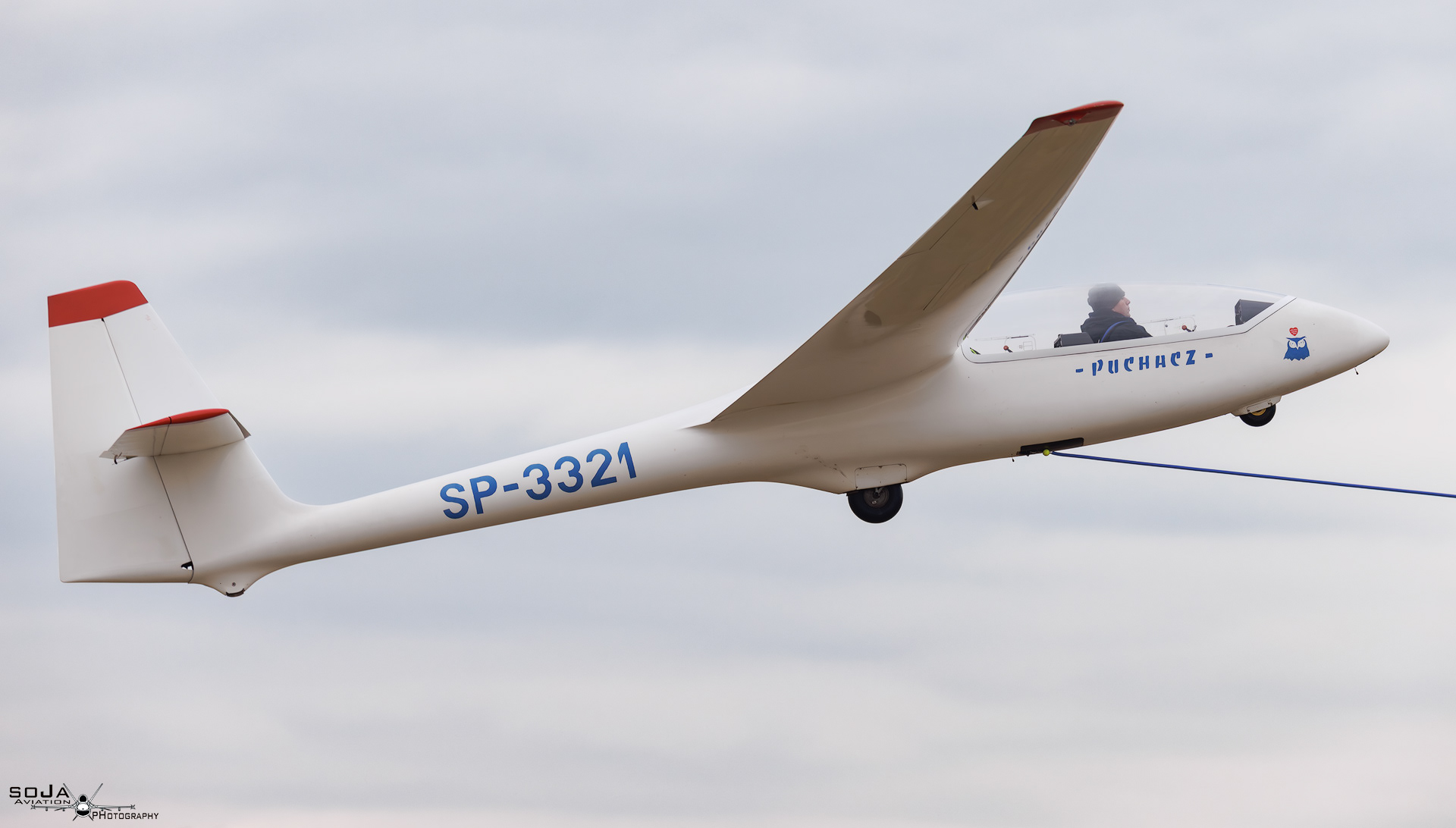 ID260125 - Aeroklub Ziemi Piotrkowskiej  PZL-SZD-50 Puchacz SP-3321