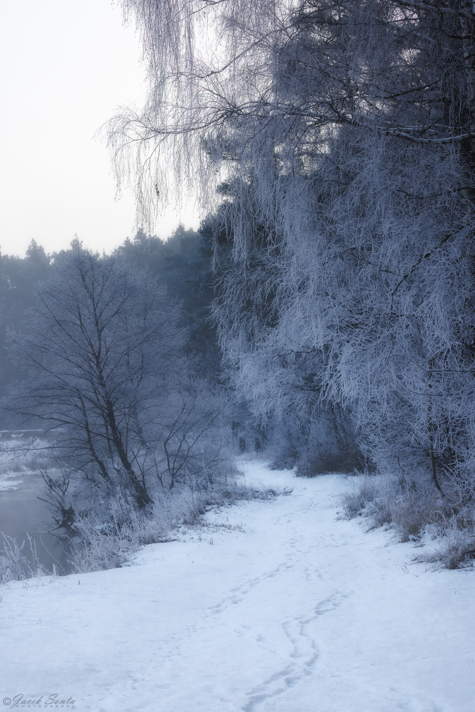 ID190226 - Luty 2026 - Kłudzice