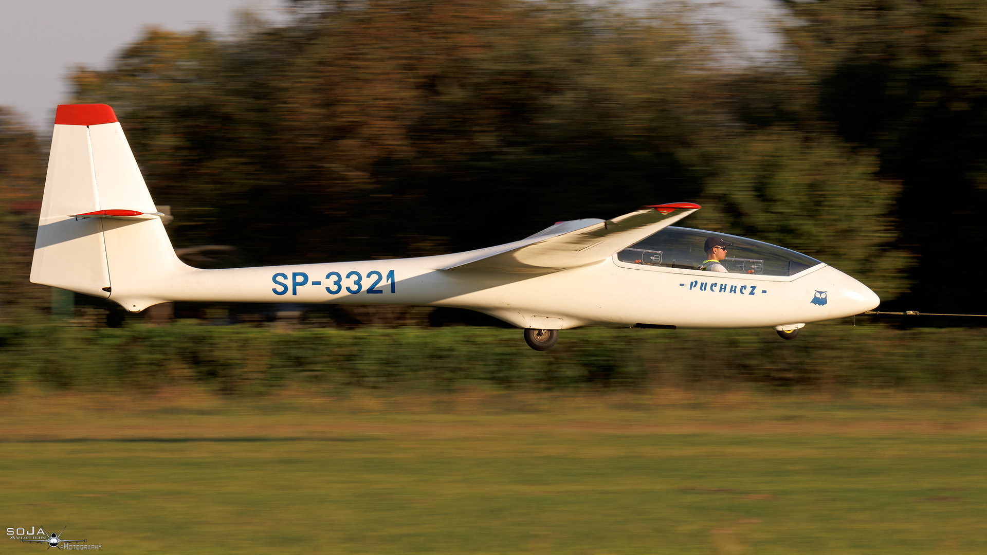 ID210924 - Aeroklub Ziemi Piotrkowskiej  PZL-SZD-50 Puchacz SP-3321